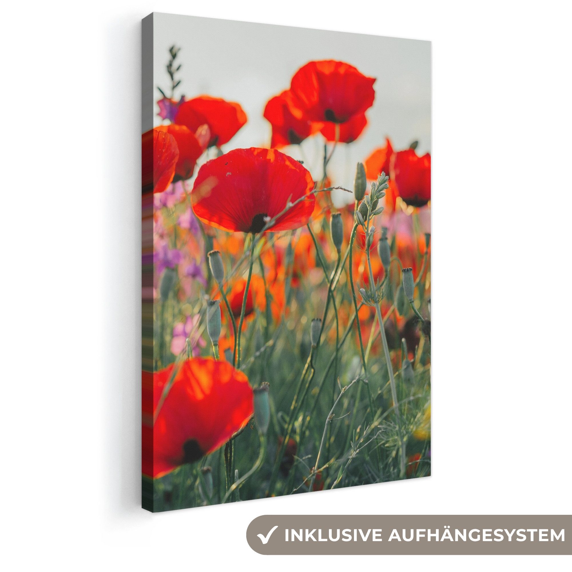 OneMillionCanvasses® Leinwandbild Mohn - Blumen - Rot - Lila - Wiese, Fotodruck (1 St), Leinwand Canvas Wandbild, Wanddekoration 20x30 cm