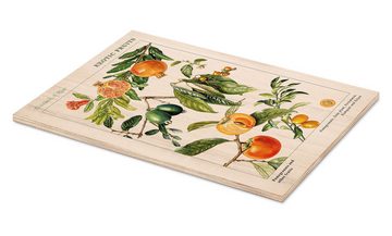 Posterlounge Holzbild Elizabeth Rice, Granatapfel und andere Früchte, Esszimmer Landhausstil Illustration