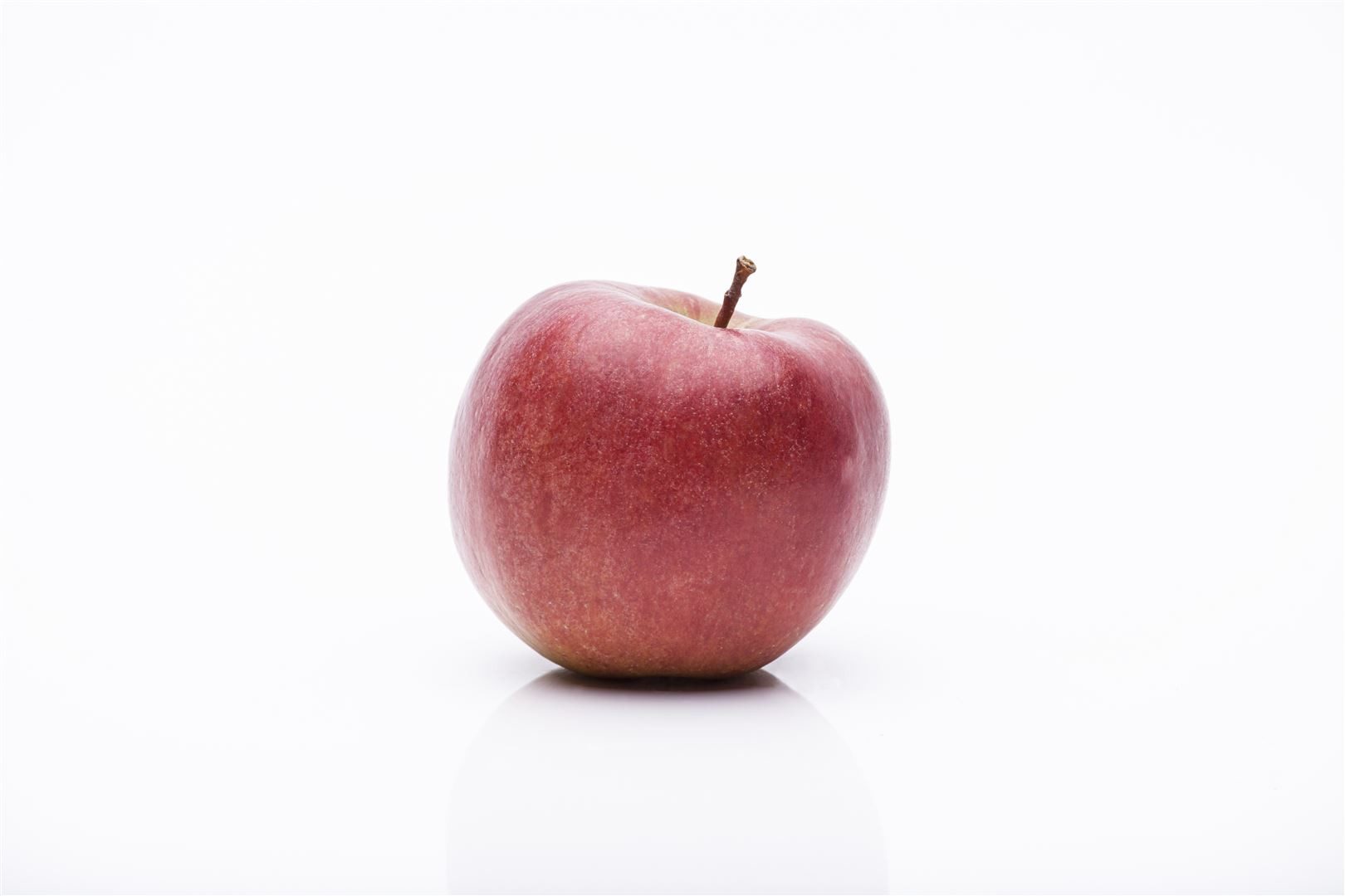 Pflanzen für Dich Obstpflanze Malus 'Braeburn', 1 St., Braeburn-Apfel, Apfelbaum, rot-grün, saftig-süß – Bild 4 von 5