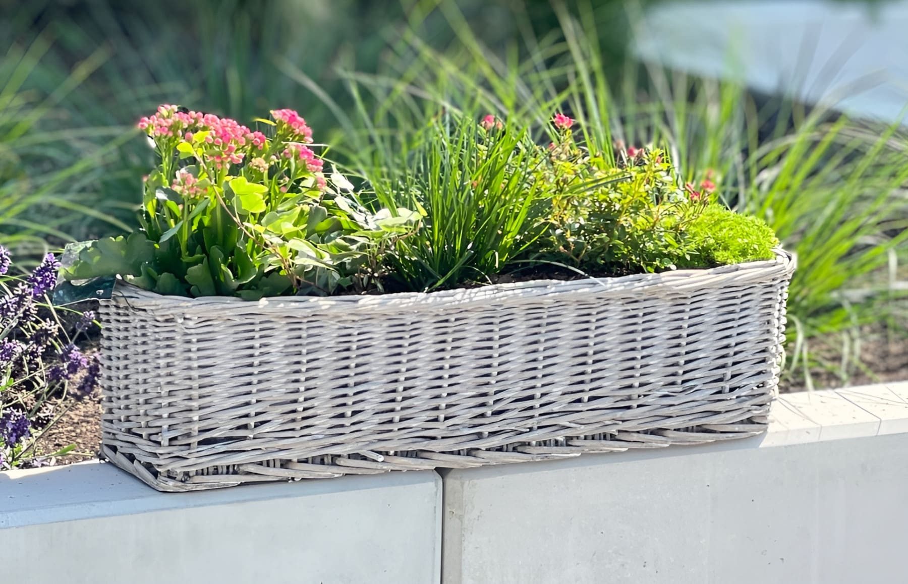 Dekoleidenschaft Blumenkasten aus Rattan "Koboo Grey" 60 cm lang, grau, Balkonkasten, Pflanzkasten (1 St), Pflanzgefäß, Pflanzenkasten, Balkon & Gartendeko für Draußen