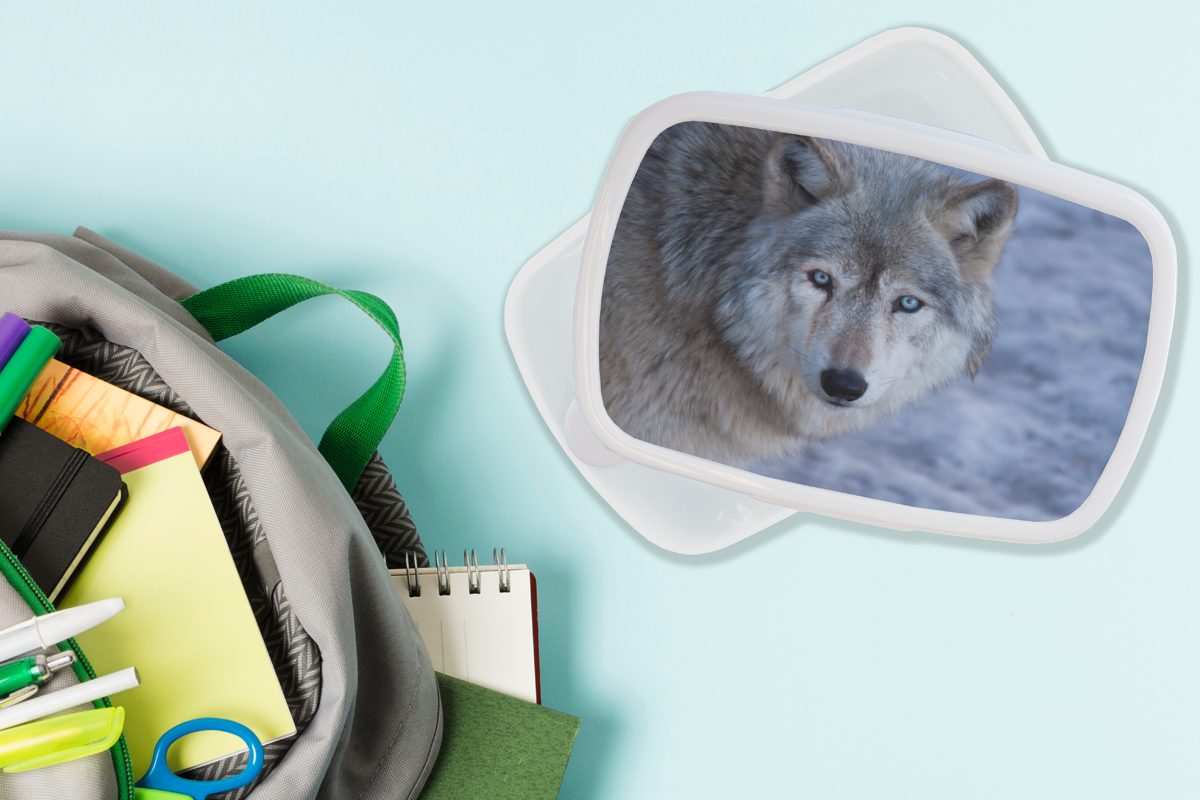 Kunststoff, Lunchbox Mädchen Erwachsene, grauen für Wolfes, und und (2-tlg), Brotdose, für eines Kopf Kinder weiß Brotbox MuchoWow Jungs