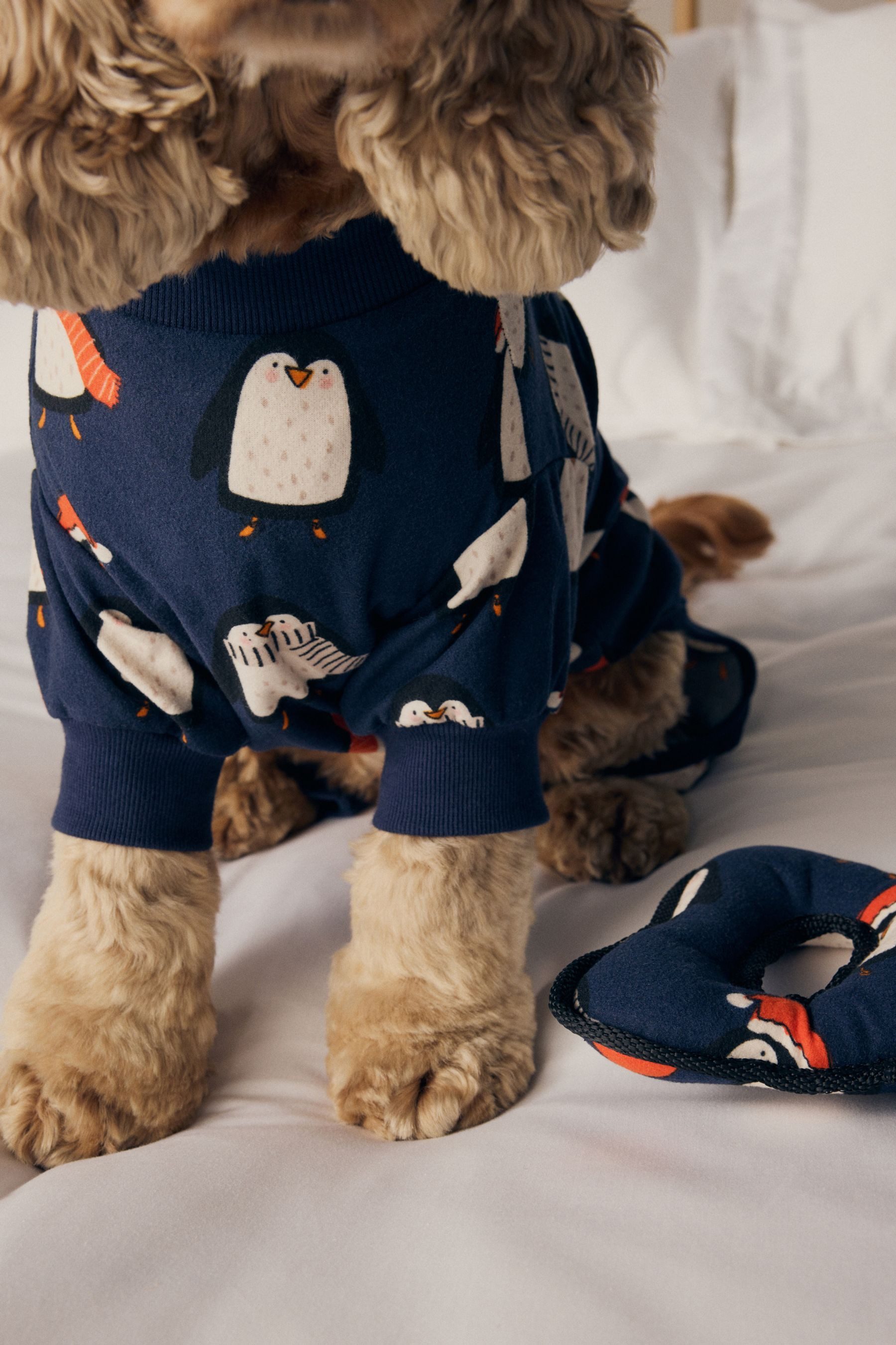 Next Hundeoverall Familien-Kollektion Hundepyjama