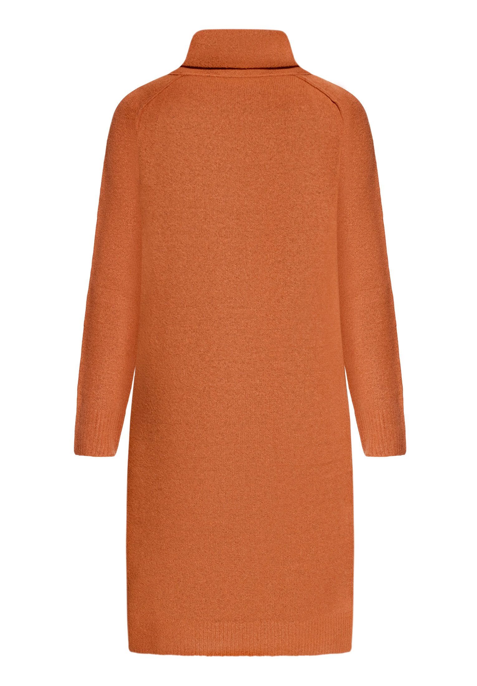 Cartoon Strickkleid Damen mit Turtle Neck