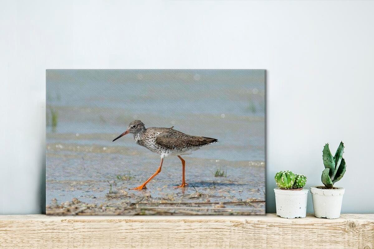 Wandbild See-See Tourismusbüro im OneMillionCanvasses® in cm (1 Wanddeko, Shop Neusiedler St), Nationalpark Aufhängefertig, 30x20 Leinwandbilder, Leinwandbild Österreich,