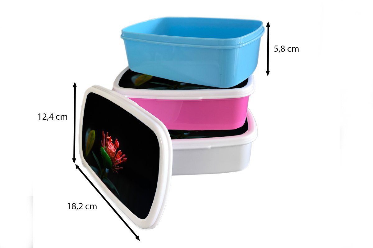 einer Foto auf und Lunchbox schwarzem Kinder Brotbox (2-tlg), für MuchoWow und weiß Kunststoff, Blume Ein Erwachsene, für Brotdose, Mädchen Jungs Hintergrund, tropischen