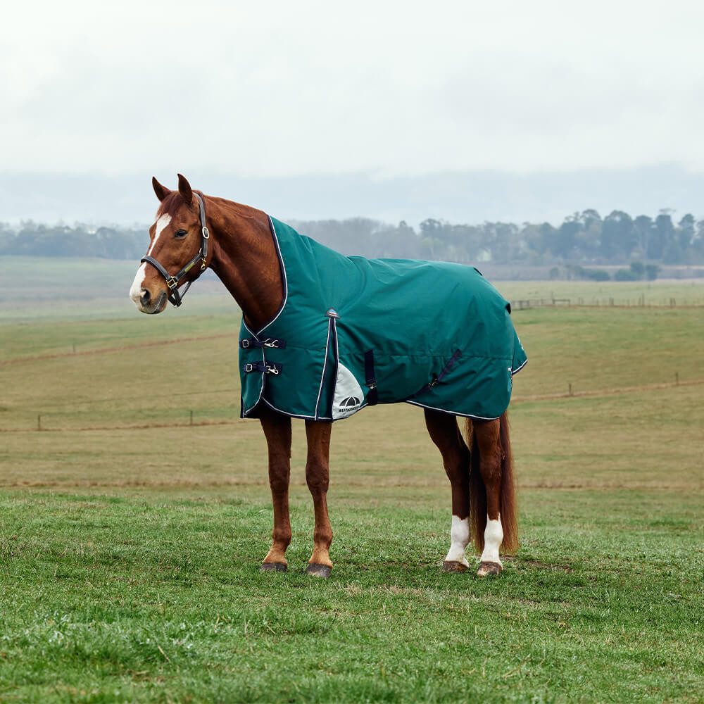 WeatherBeeta Pferde-Thermodecke Weatherbeeta Comfitec Plus Dynamic Turnout High Neck 220g