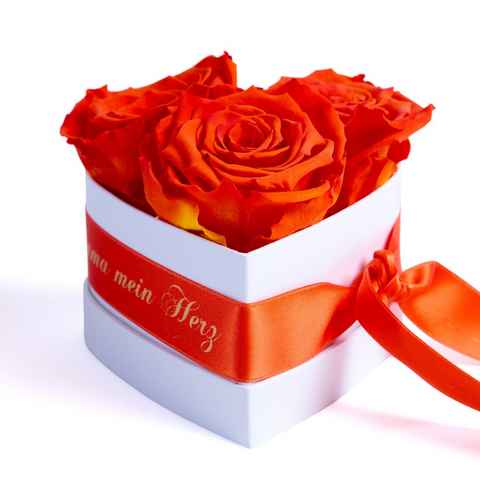Kunstblume Mama Geschenk Du bist mein Herz Rosenbox Geschenkbox 3 Infinity Rosen Rose, ROSEMARIE SCHULZ Heidelberg, Höhe 10 cm, echte Blumen 3 Jahre haltbar
