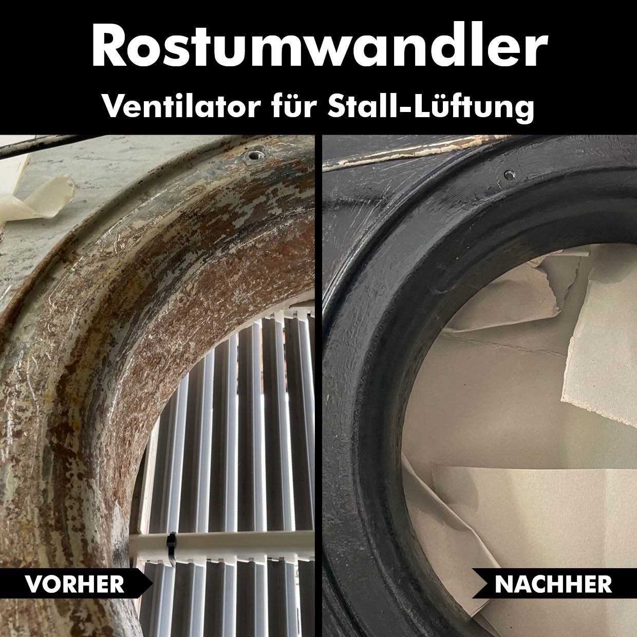 ABACUS Rostumwandler, Rostentferner, Rostschutz Rostentferner (Einfach anzuwenden, [- Rostschutz und Grundierung in Einem Verhindert Weiterrosten)
