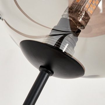 hofstein Stehlampe Stehlampe aus Metall/Glas in Schwarz/Rauchfarben, ohne Leuchtmittel, Leuchte mit Glasschirmen (15cm), dimmbar, 3xG9, ohne Leuchtmittel
