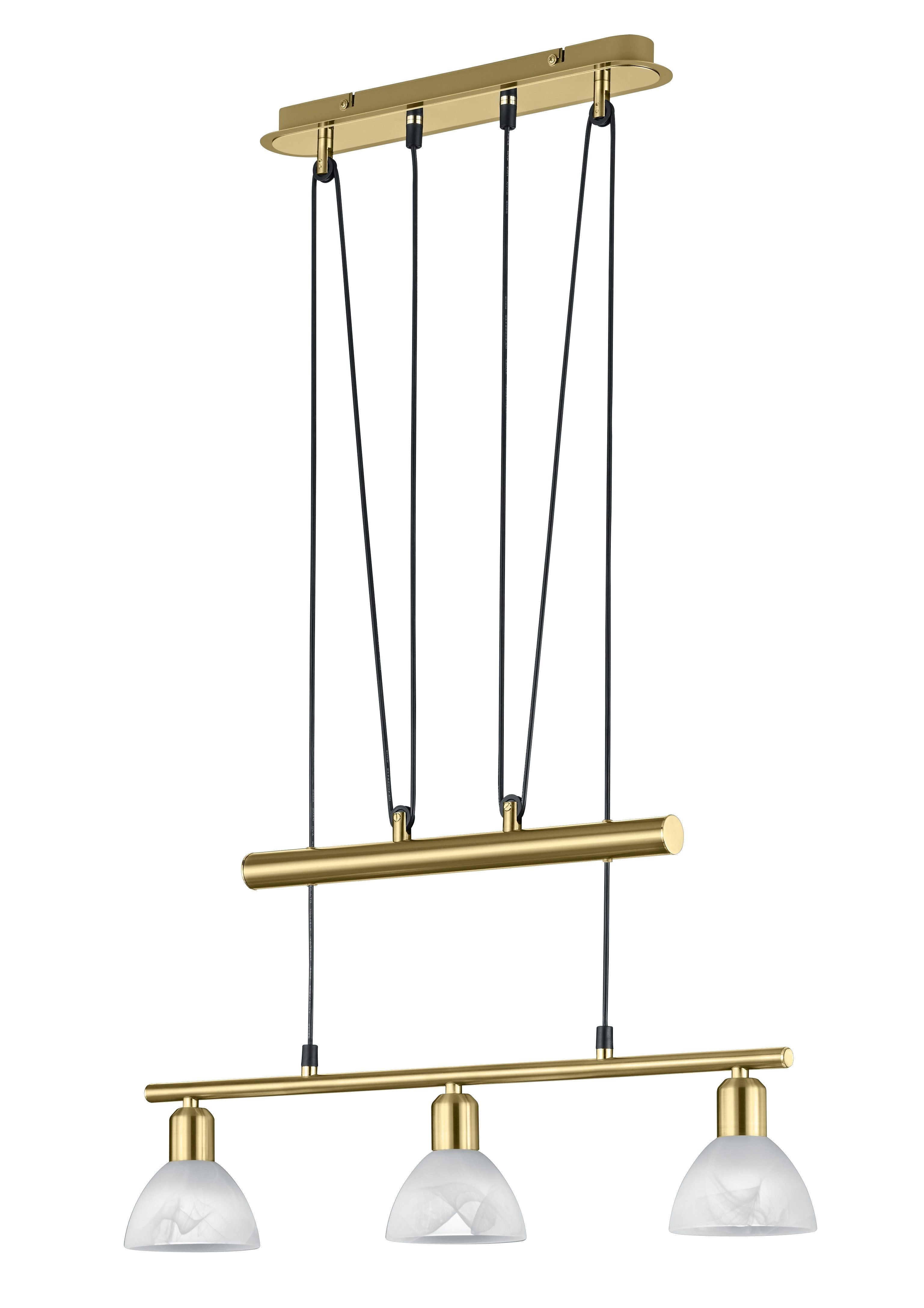 TRIO Leuchten LED Pendelleuchte Seilzugmechanismus, Hängeleuchte LED LEVISTO, wechselbar, Hängelampe, LED LED