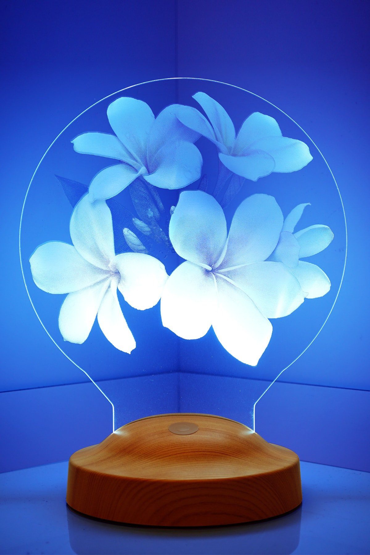 Geschenkelampe LED Nachttischlampe Plumeria Blumen 3D mehrfarbige Nachttischlampe Muttertag, Valentinstag, Leuchte 7 Farben fest integriert, Valentinstagsgeschenk für Freundin, Kollegin, Ehefrau, Partnerin