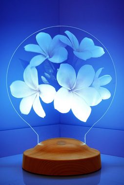 Geschenkelampe LED Nachttischlampe Plumeria Blumen 3D mehrfarbige Nachttischlampe Muttertag, Leuchte 7 Farben fest integriert, Muttertagsgeschenke für Mama, Ehefrau, Freundin, Oma, Kollegin