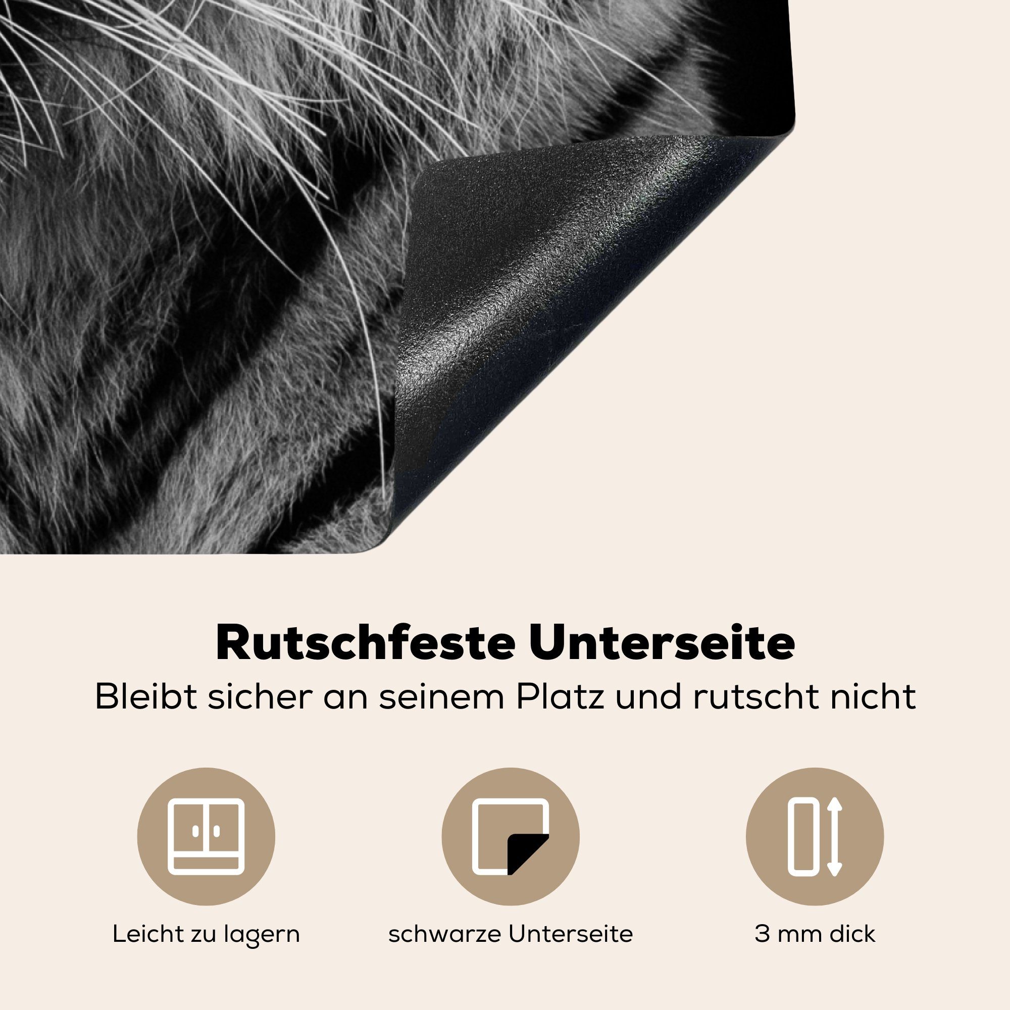Sumatra-Tiger tlg), (1 Arbeitsplatte küche MuchoWow schwarzem 78x78 Herdblende-/Abdeckplatte Ceranfeldabdeckung, Vinyl, Hintergrund, cm, für auf