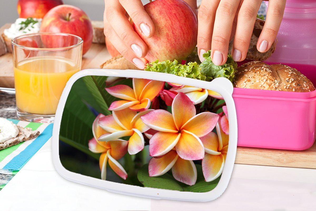 Blumen Plumeria Lunchbox - Orange, Mädchen, Kinder, Snackbox, für (2-tlg), Erwachsene, Kunststoff, MuchoWow - rosa Brotbox Kunststoff Brotdose