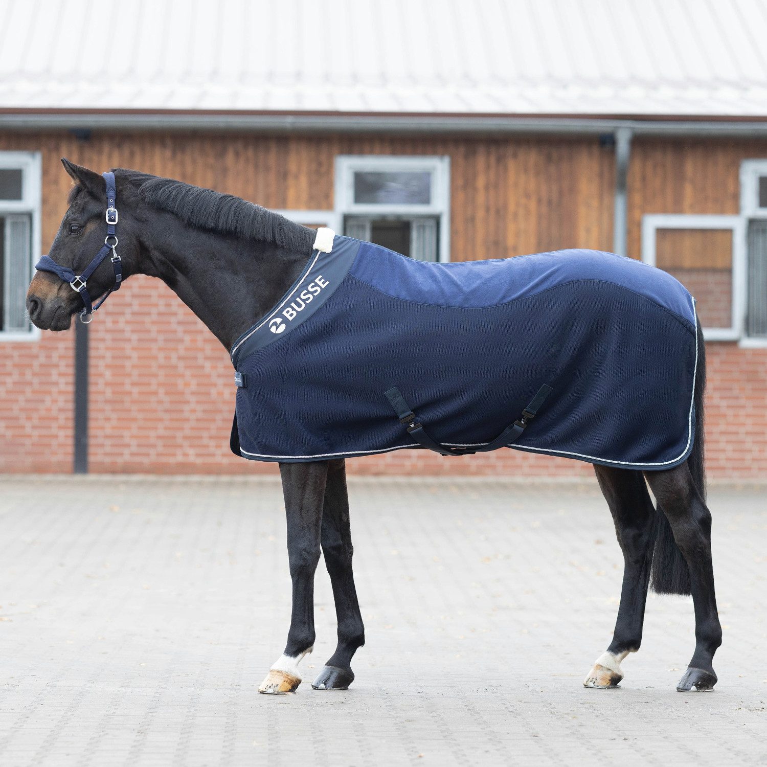 BUSSE Pferde-Abschwitzdecke BUSSE Abschwitzdecke 3D Air Fleece Premium