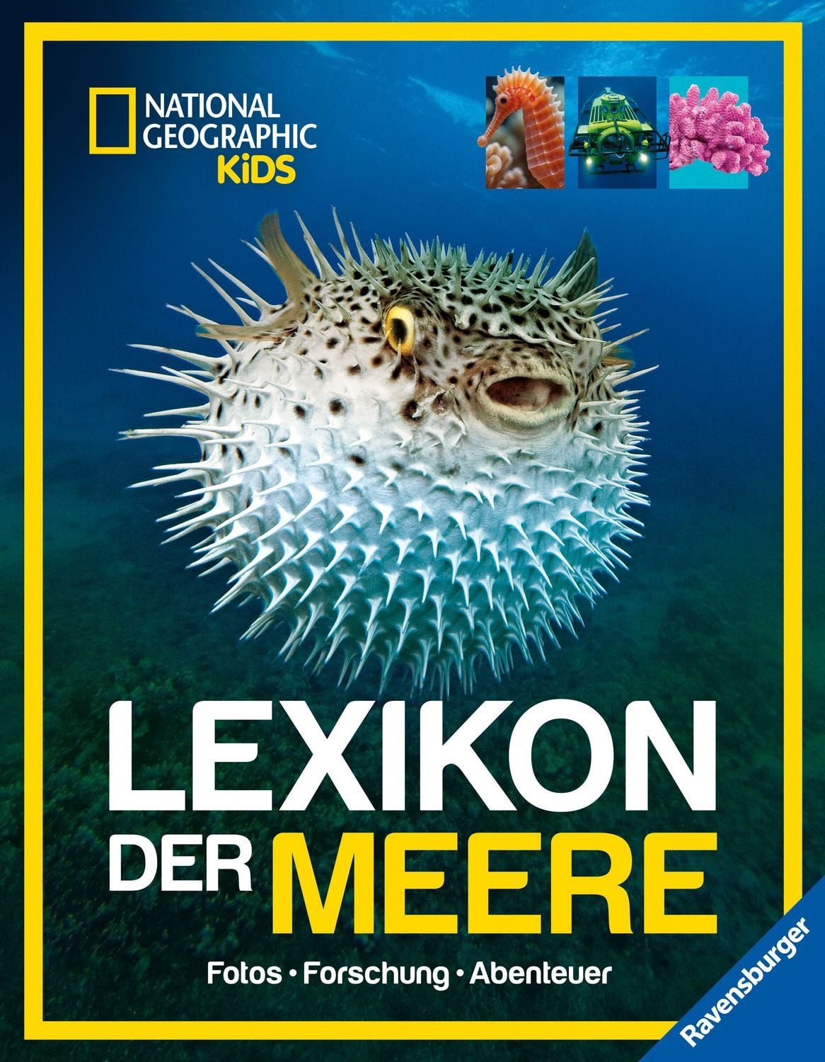National Geographic Kids - Lexikon der Meere / Christina Wilsdon