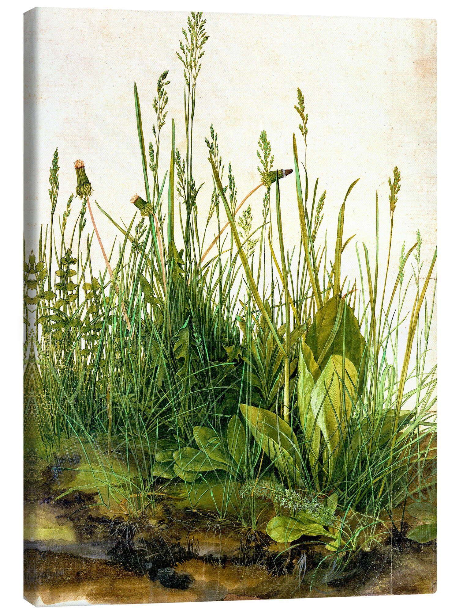 Leinwandbild Albrecht Dürer
