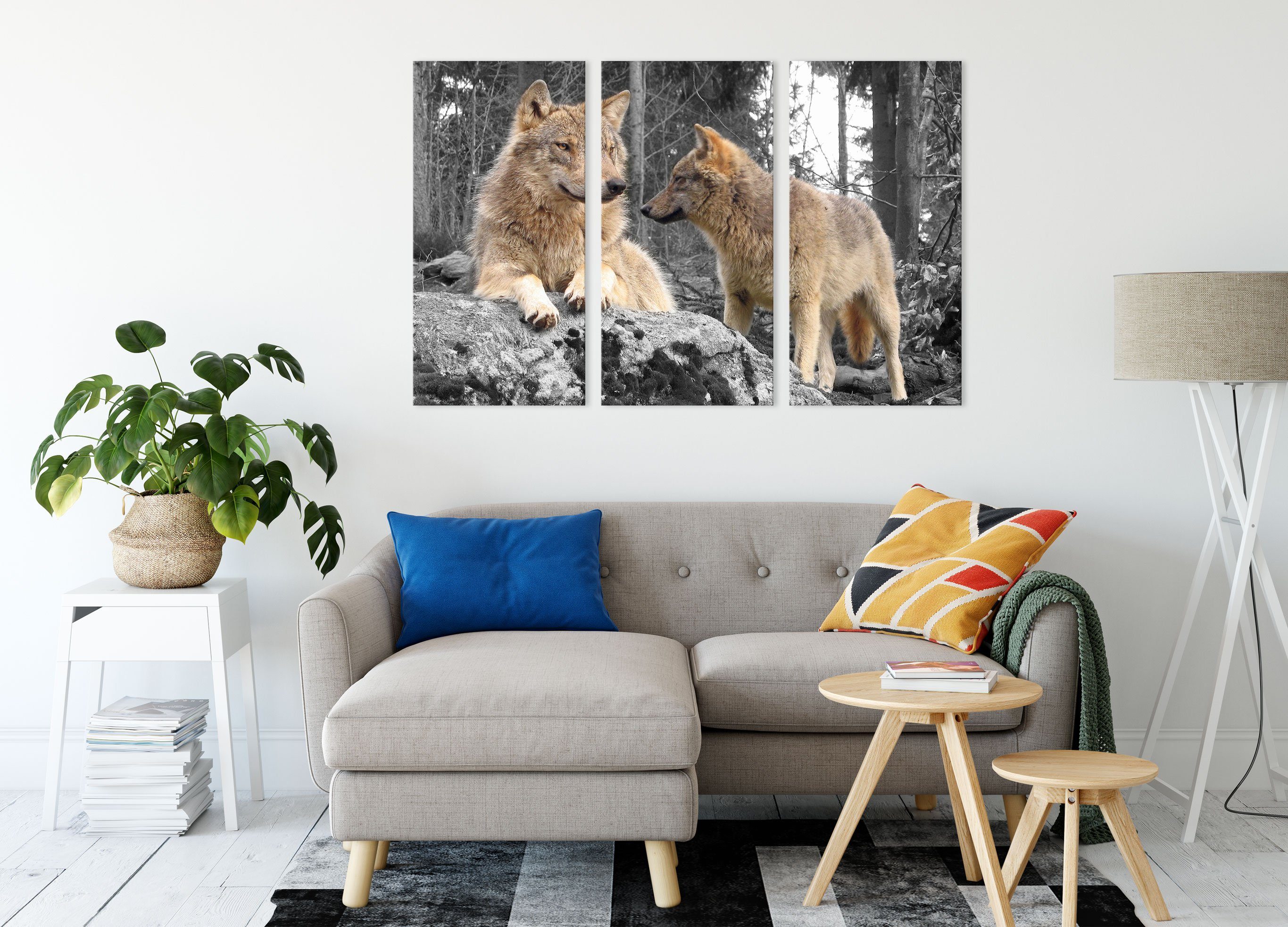 Wölfe (120x80cm) Wald, Wald 3Teiler inkl. St), Pixxprint bespannt, (1 im Zackenaufhänger fertig Leinwandbild Wölfe Leinwandbild im