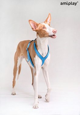 amiplay Hunde-Geschirr Reflective, Polypropylen-Gurtband mit reflektierendem Faden, Verstellbares Hunde Brustgeschirr Step-In REFLECTIVE