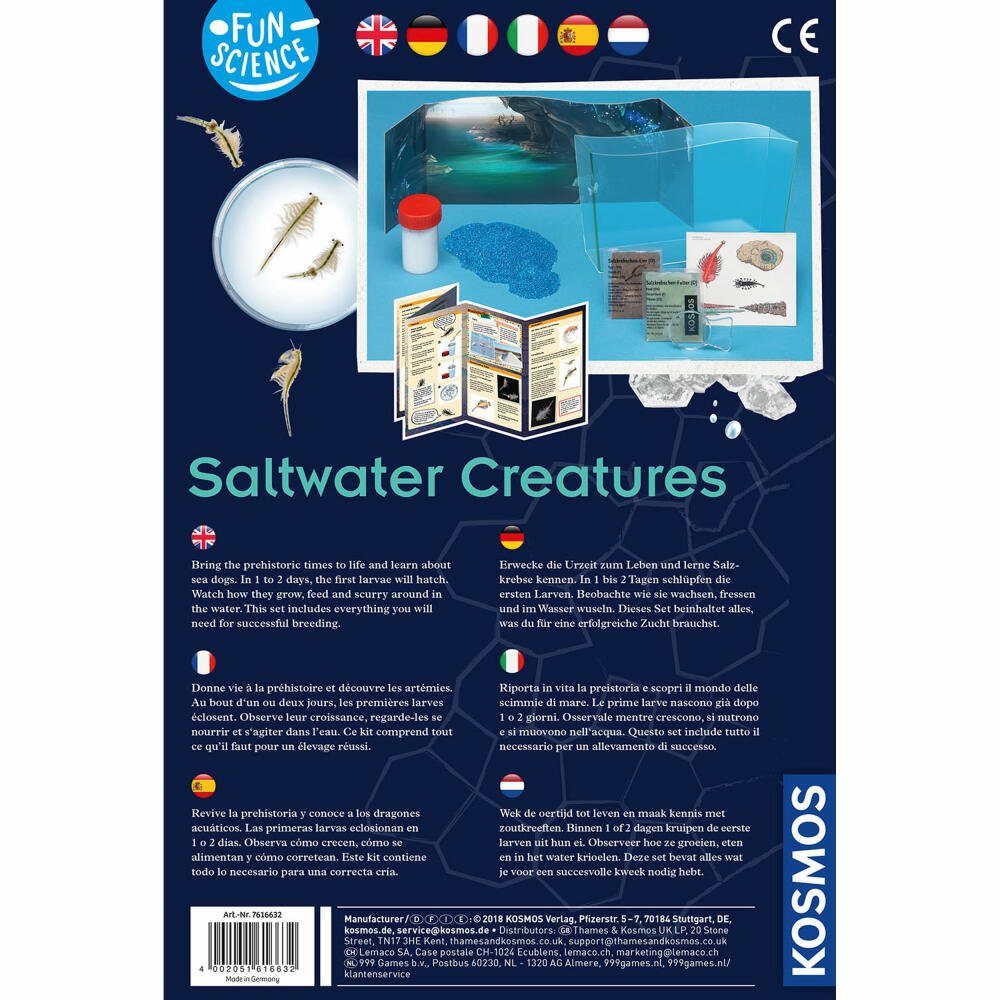 Kreativset Saltwater Kosmos Wuselnde Salzkrebse Creatures