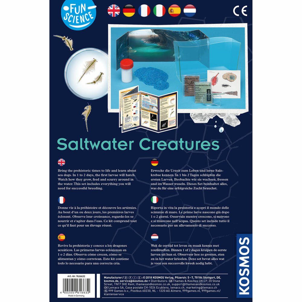 Wuselnde Kreativset Salzkrebse Saltwater Kosmos Creatures