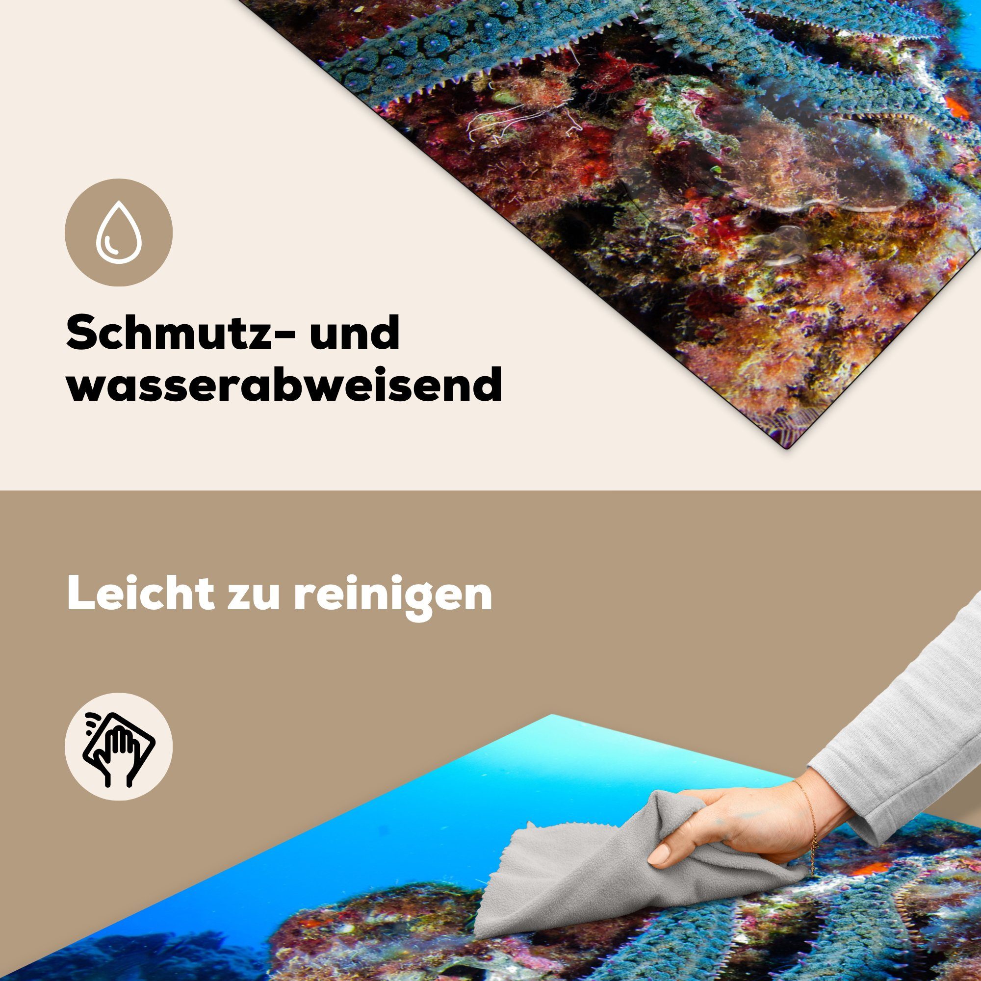 MuchoWow Herdblende-/Abdeckplatte Seesterne - für Tiere, (1 Korallen Arbeitsplatte 78x78 - Ceranfeldabdeckung, cm, küche Vinyl, tlg)