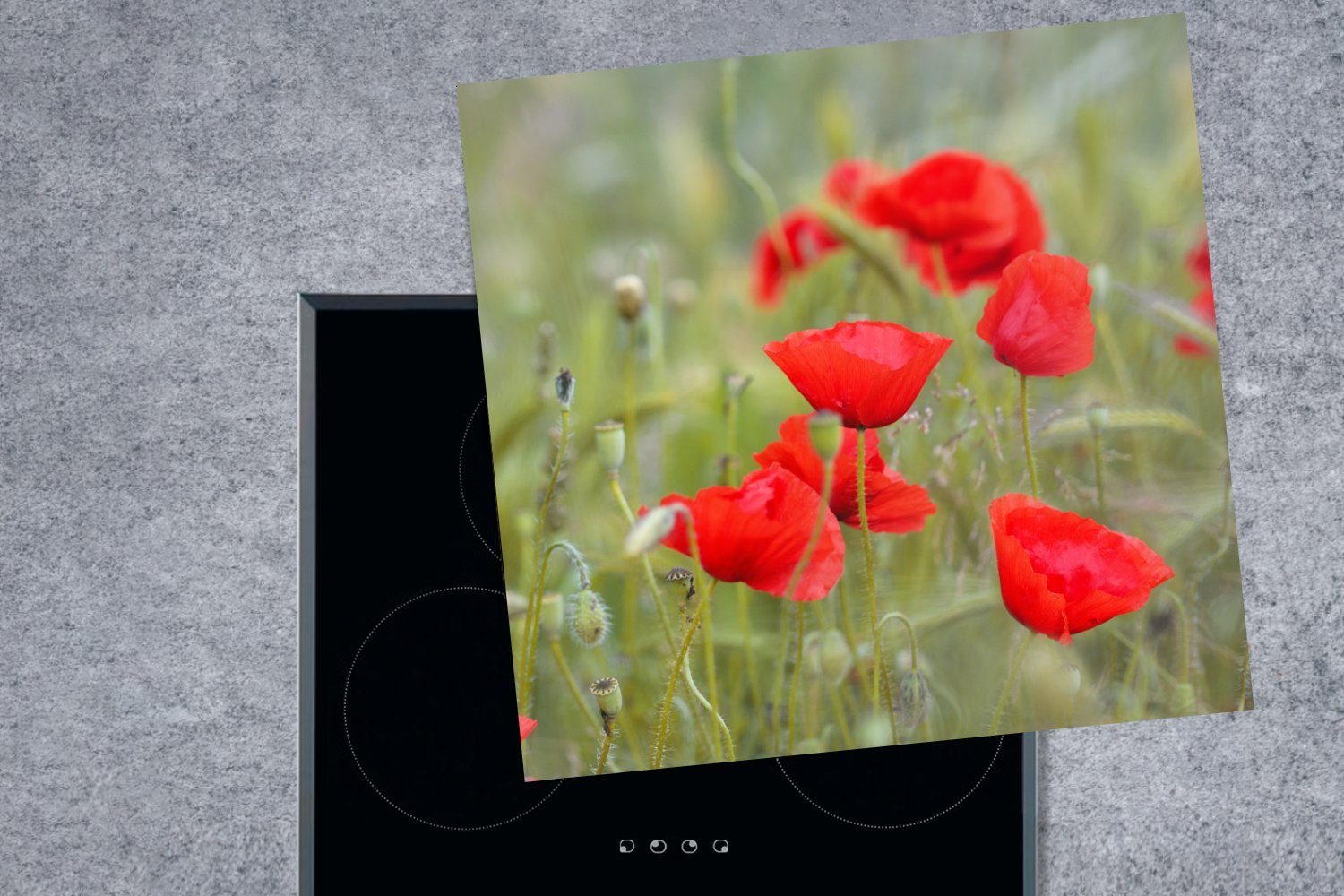 MuchoWow tlg), Mohnblumen im cm, Gras, Vinyl, 78x78 für Ceranfeldabdeckung, Rote Arbeitsplatte küche (1 Herdblende-/Abdeckplatte