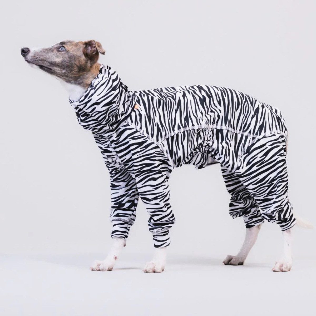 PAIKKA Hundeoverall UV- und Insektenschutz-Overall Version 2026
