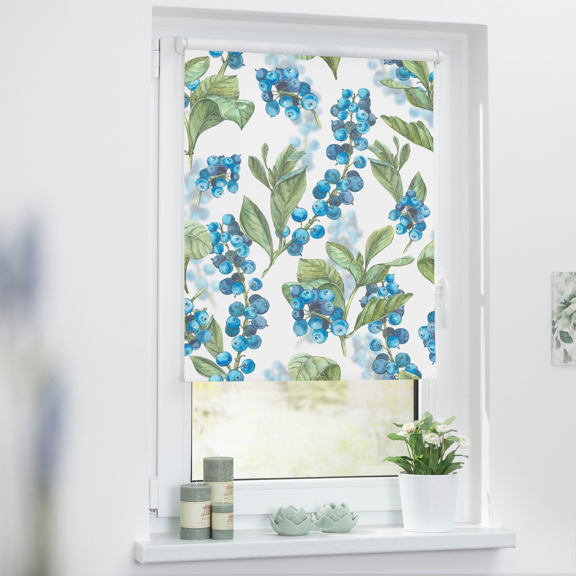 Seitenzugrollo Klemmfix Motiv Heidelbeere, LICHTBLICK ORIGINAL, Lichtschutz günstig online kaufen