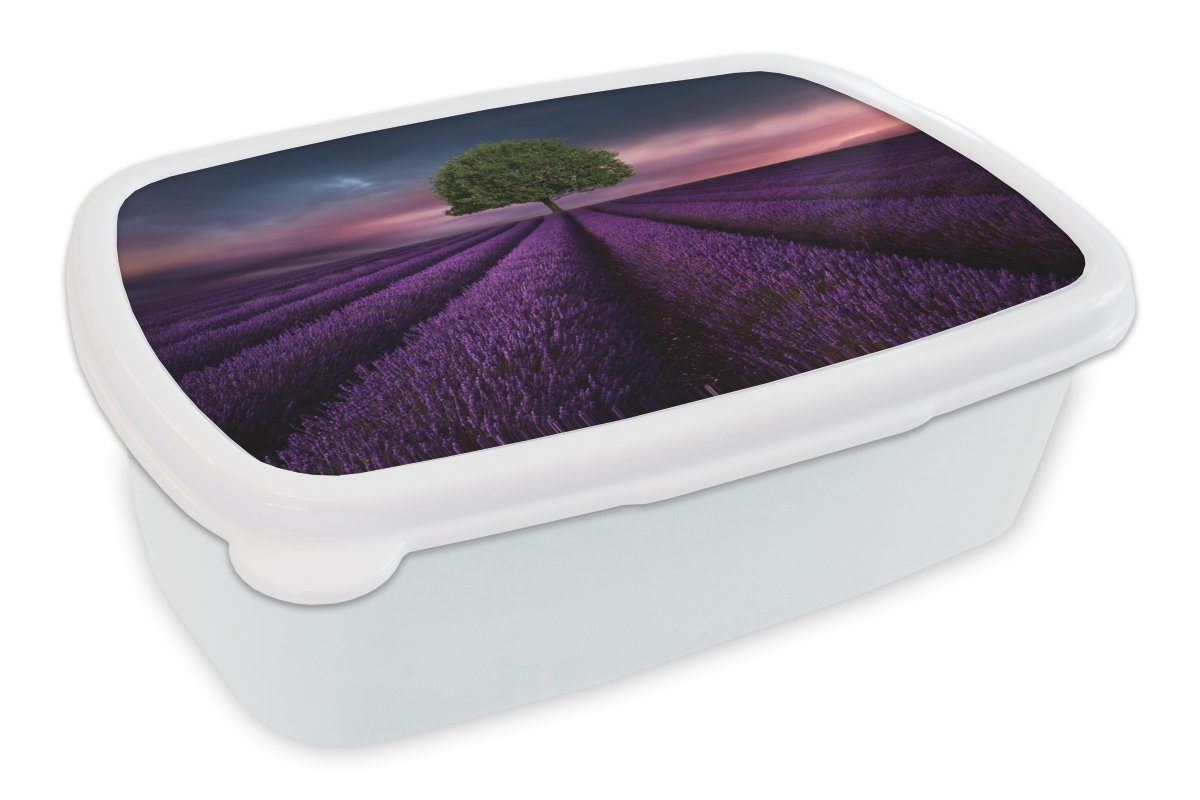 MuchoWow Lunchbox Lavendel - Baum - Lila, Kunststoff, (2-tlg), Brotbox für Kinder und Erwachsene, Brotdose, für Jungs und Mädchen weiß