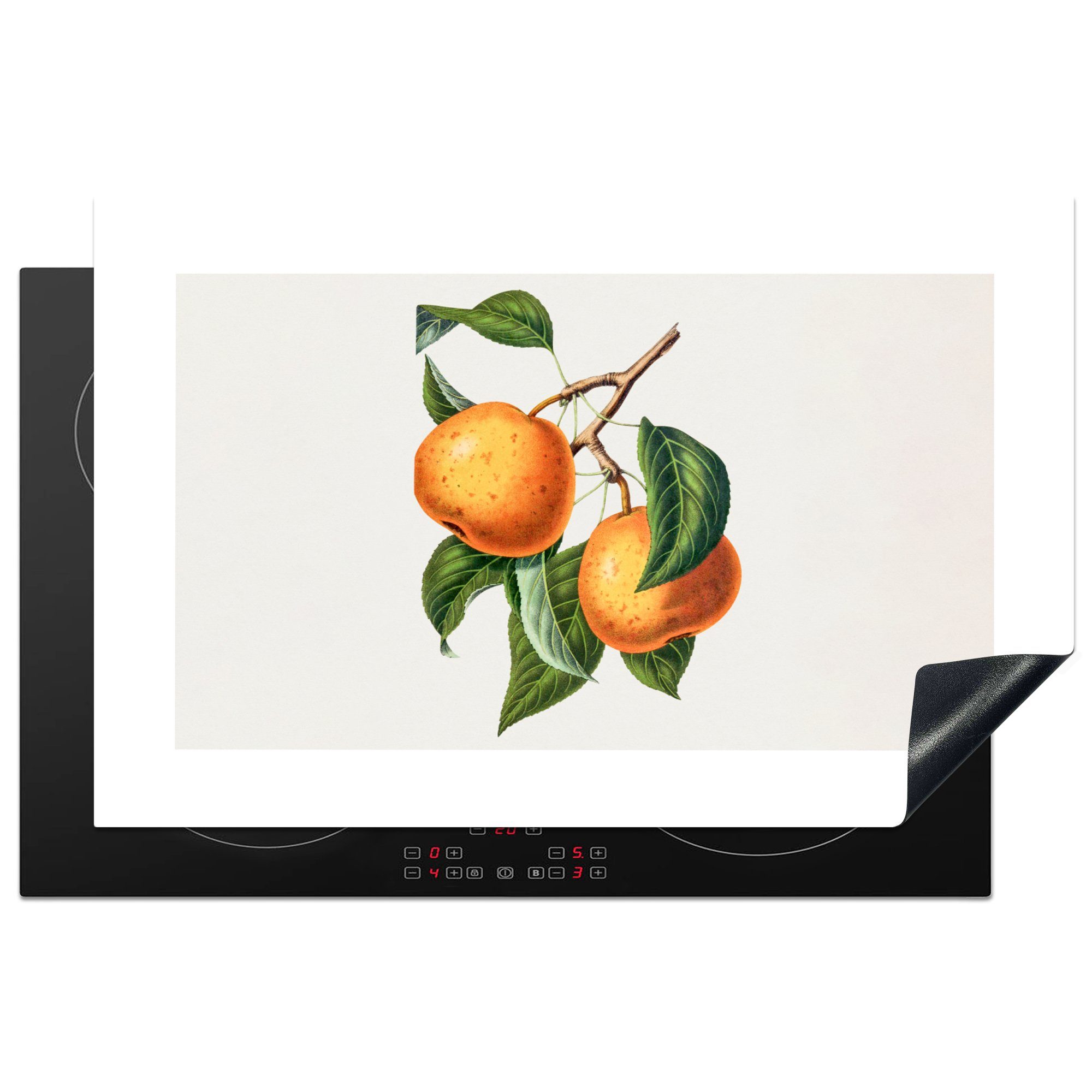 MuchoWow Herdblende-/Abdeckplatte Orange - Blatt - Pflanze, Vinyl, (1 tlg), 81x52 cm, Induktionskochfeld Schutz für die küche, Ceranfeldabdeckung