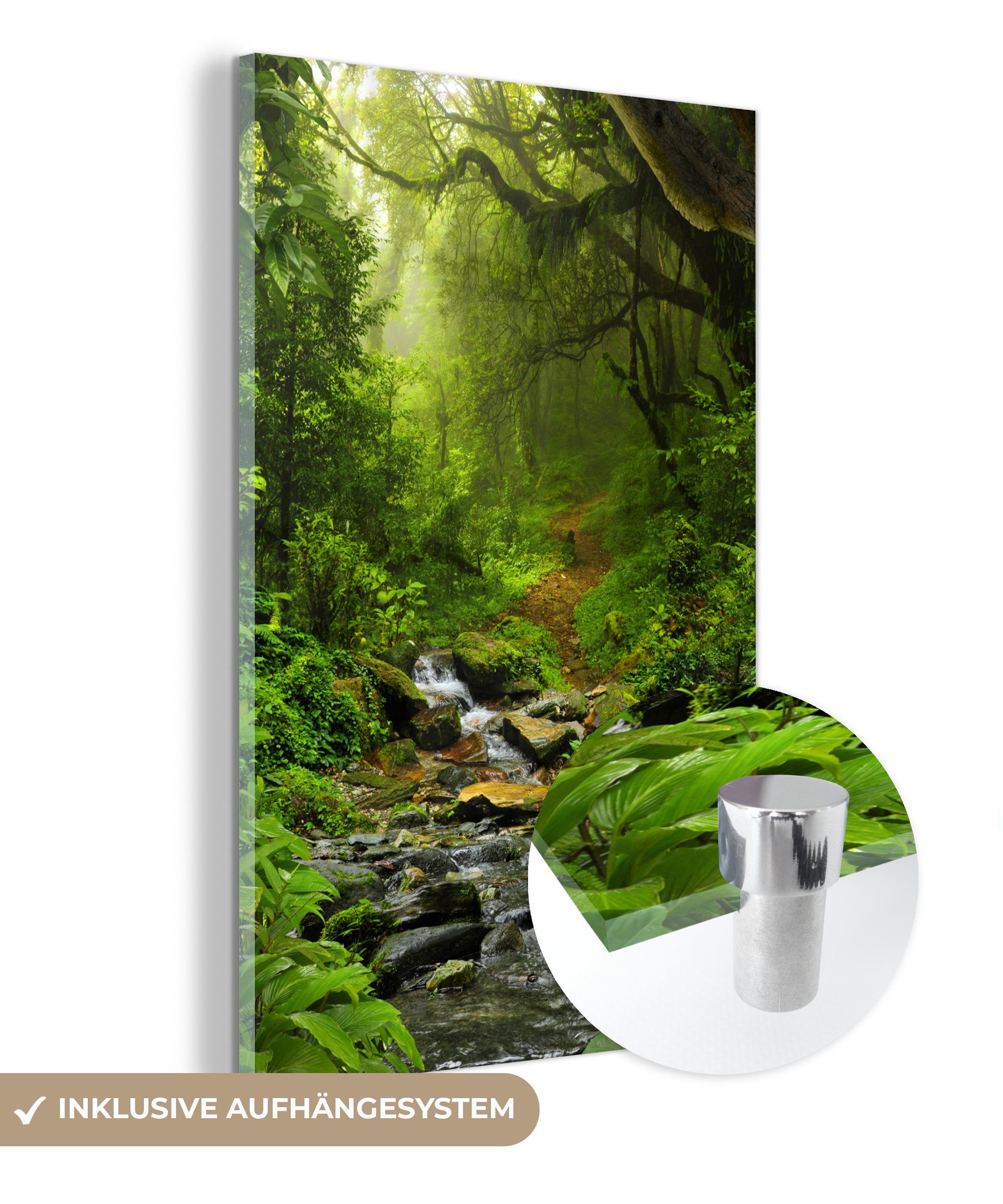 MuchoWow Acrylglasbild Natur - Wasser - Dschungel - Wald - Tropisch, Inkl. günstig online kaufen