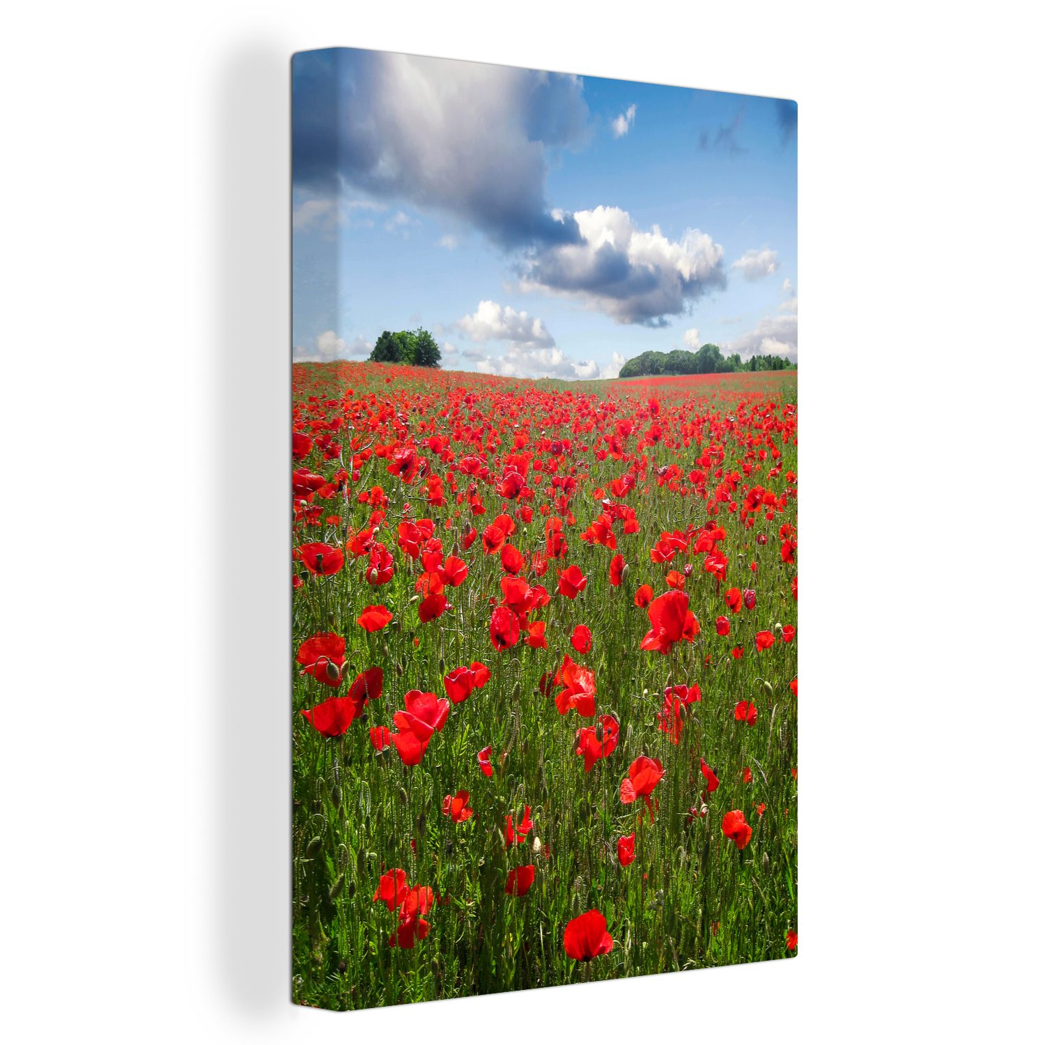 OneMillionCanvasses® Leinwandbild Mohnblumen - Himmel - Blumen, (1 St), Leinwandbild fertig bespannt inkl. Zackenaufhänger, Gemälde, 20x30 cm
