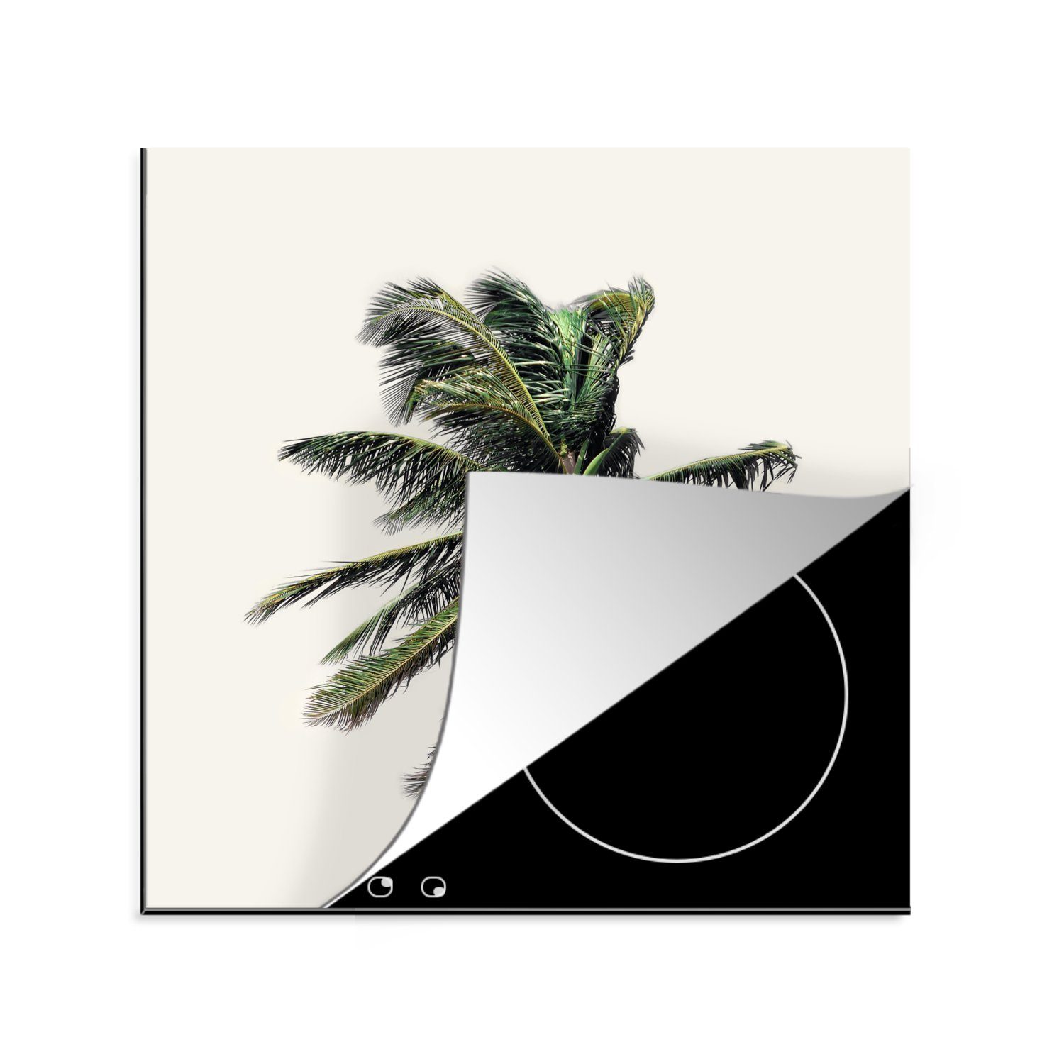 Herdblende-/Abdeckplatte cm, - MuchoWow Vinyl, Blätter, Natur für - küche (1 78x78 tlg), Palme - Grün Ceranfeldabdeckung, Arbeitsplatte