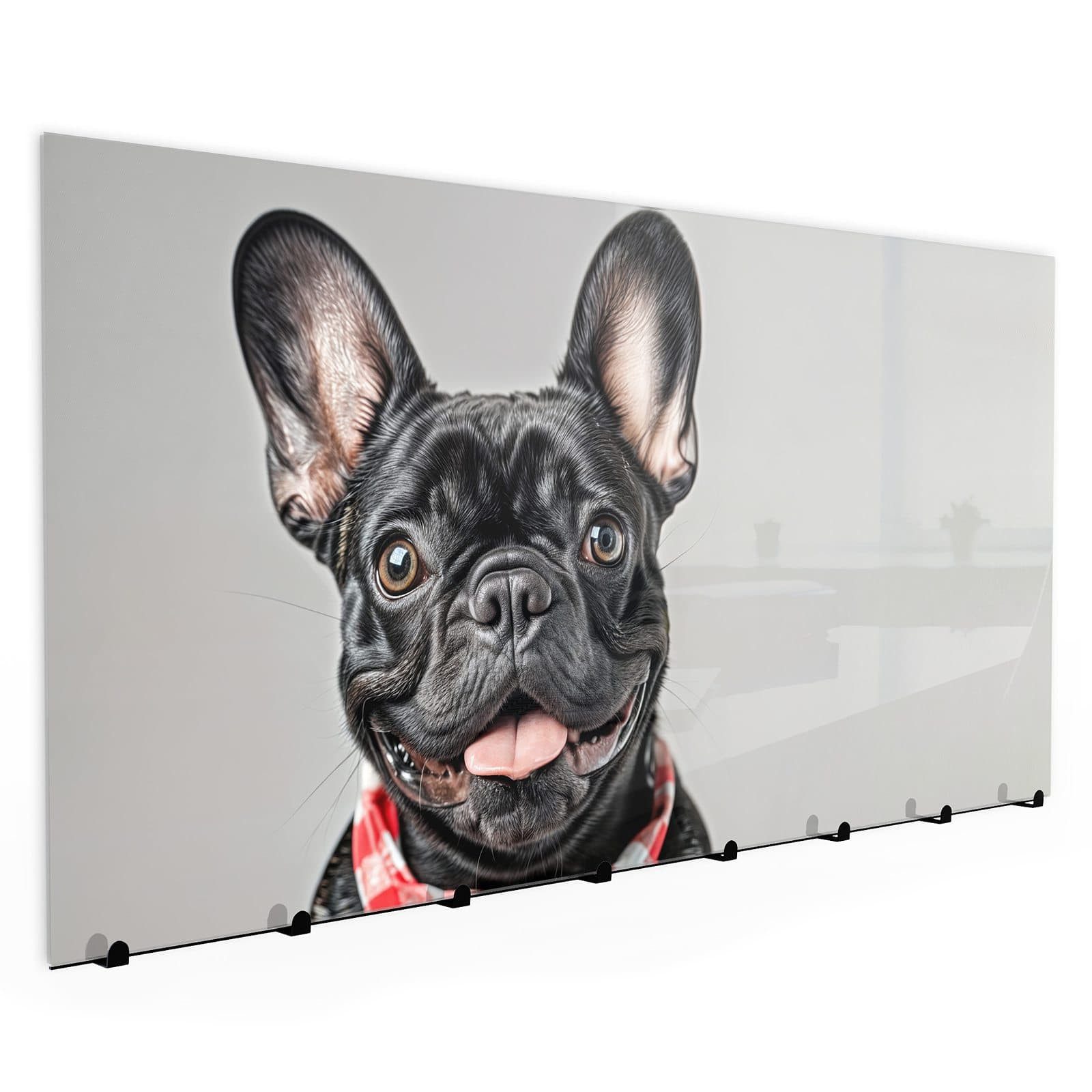 Primedeco Garderobenpaneel Kleiderhaken aus Glas Französische Bulldogge (1 St., Inkl. Magnete, Stifte und Montagematerial), Magnetisch & Beschreibbar
