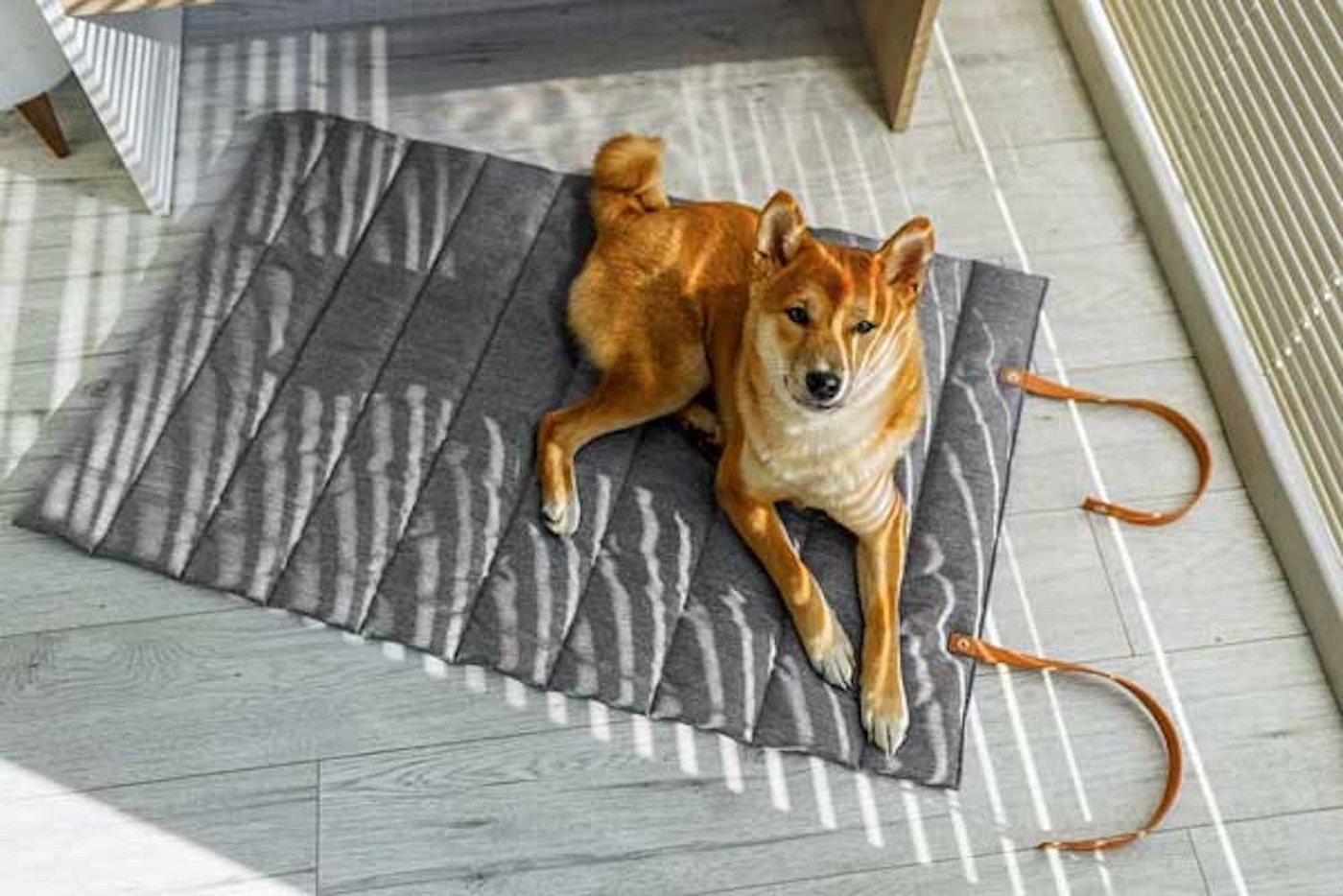 Thumbnail - Animood Hundematte Luna, Oxford-Denim-Imitation 100% Polyester, 100x60x2 cm Farbe wählbar aus beige, blau und grau, wass...