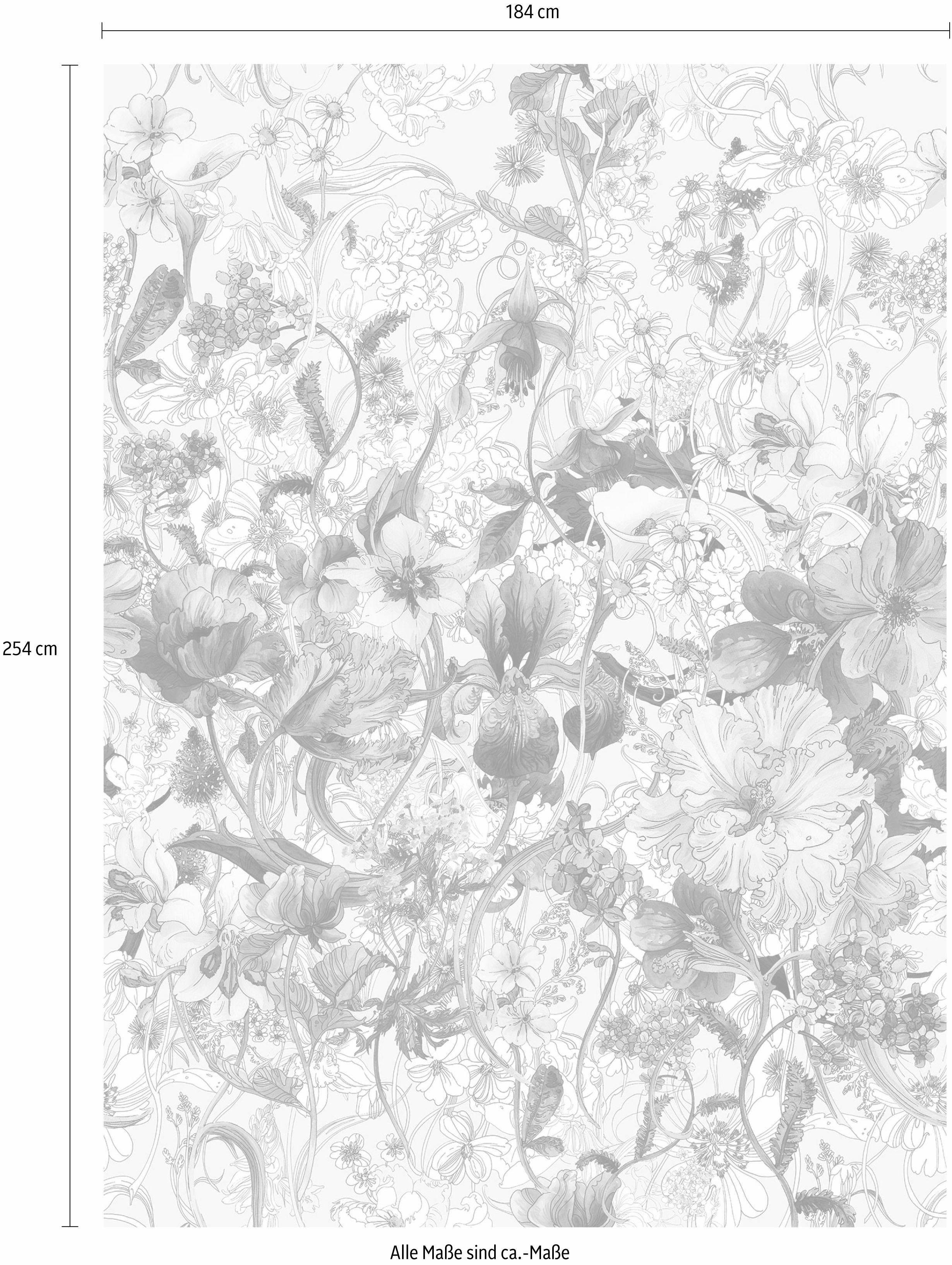 Komar Fototapete »Flora«, glatt, bedruckt, floral, geblümt, (Set), ausgezeichnet lichtbeständig-Otto