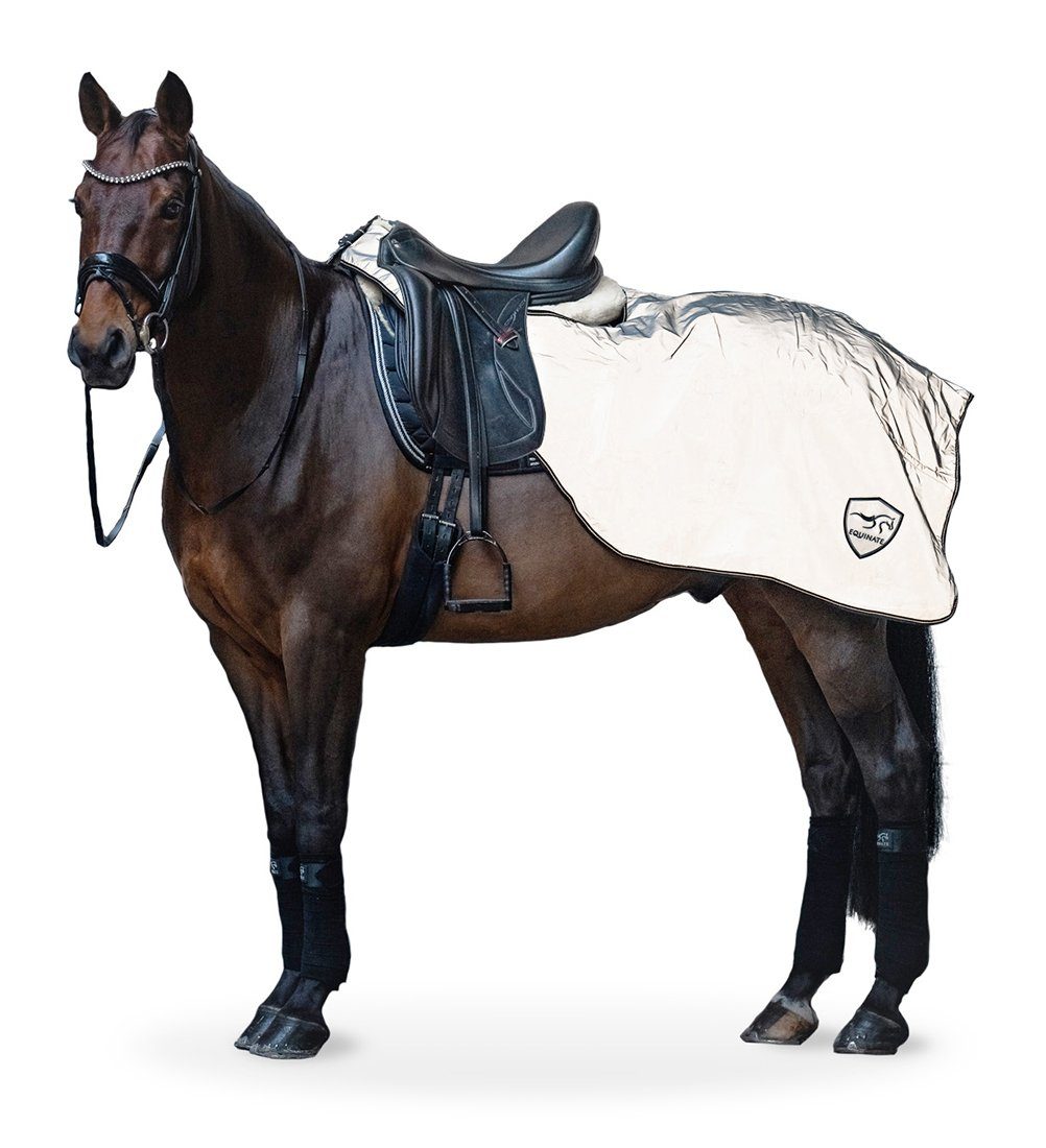Equinate Pferde-Nierendecke reflektierende Ausreitdecke Xtreme-Visible wasserdicht und Innenfutter, atmungsaktiv
