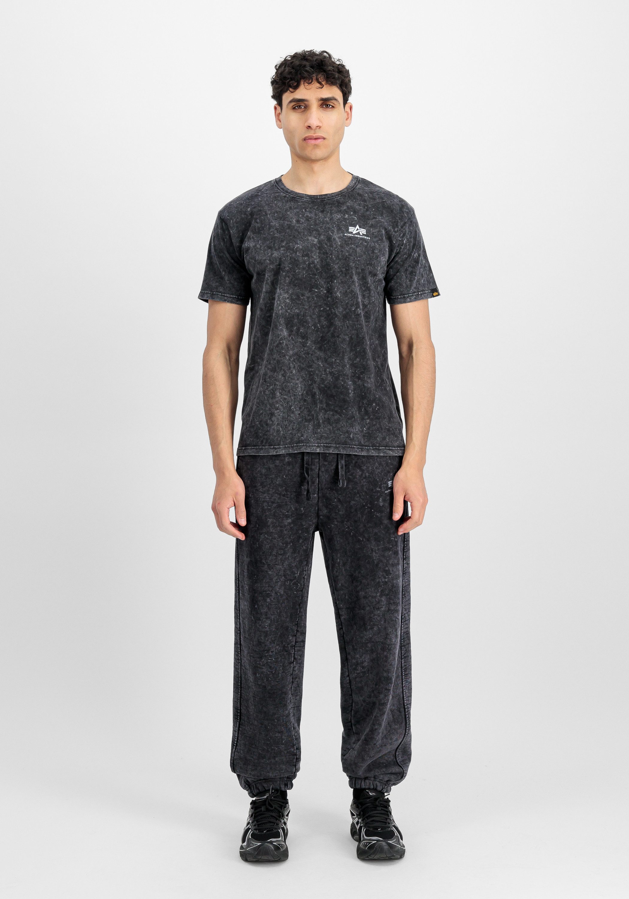 Alpha Industries T-Shirt Vintage Backprint T-Shirt günstig online kaufen