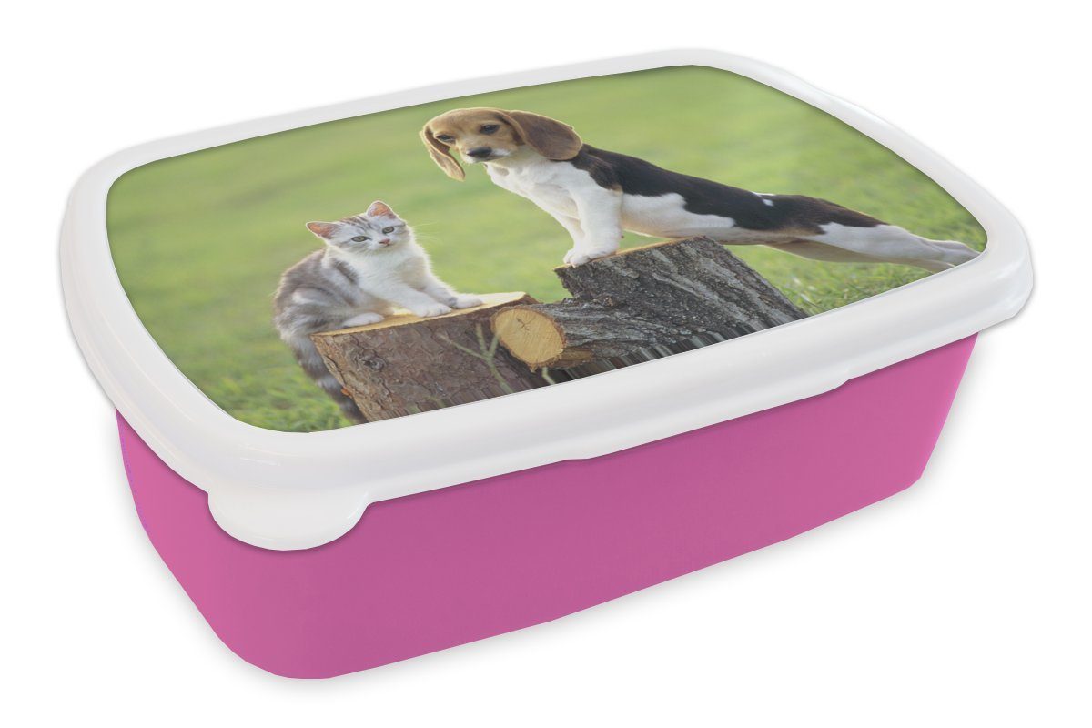MuchoWow Lunchbox Katze - Hund - Baum, Kunststoff, (2-tlg), Brotbox für Erwachsene, Brotdose Kinder, Snackbox, Mädchen, Kunststoff rosa