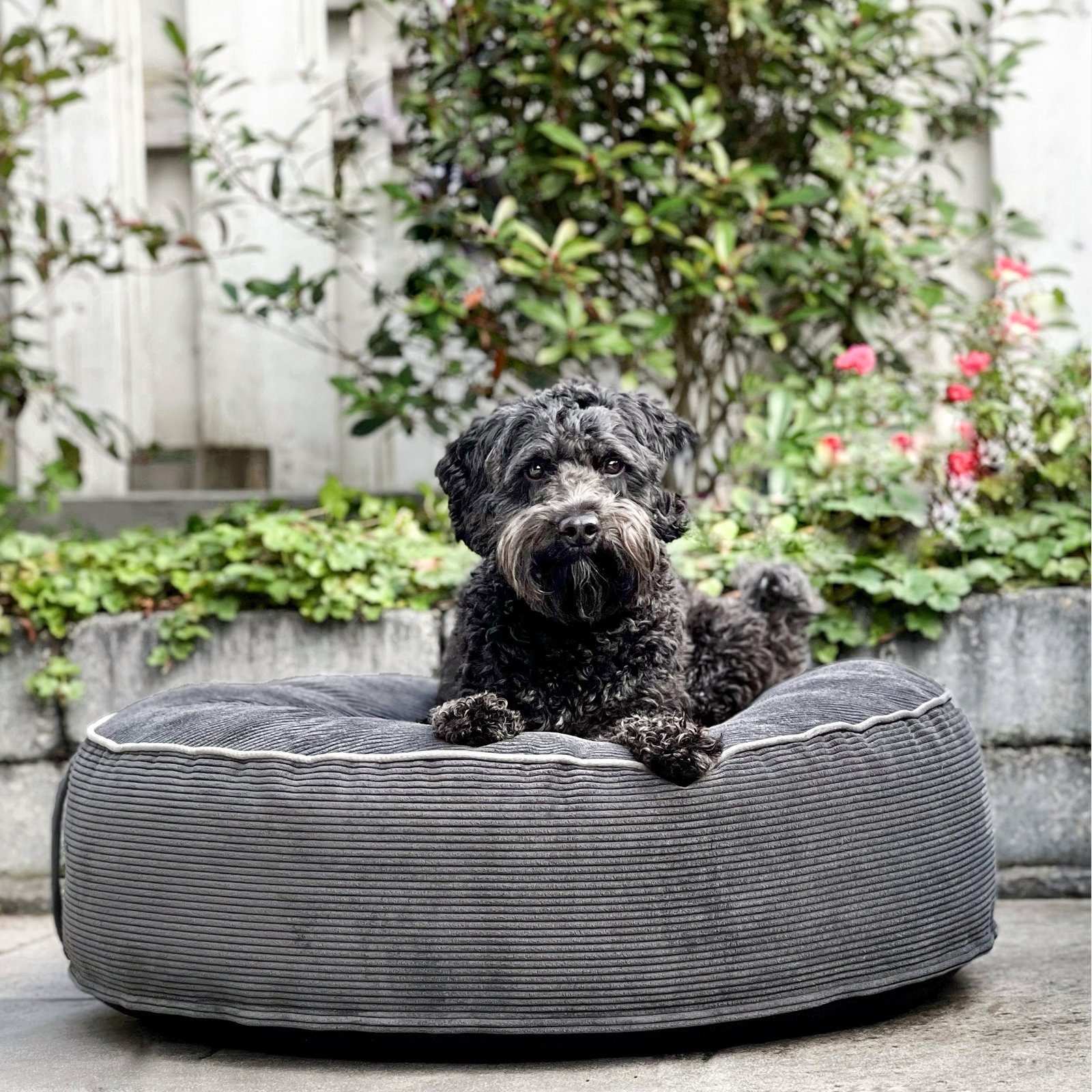 Mr. Cuddles Tierbett Lilly, Rundes Hundekissen, waschbarer Kord-Bezug, Trag günstig online kaufen