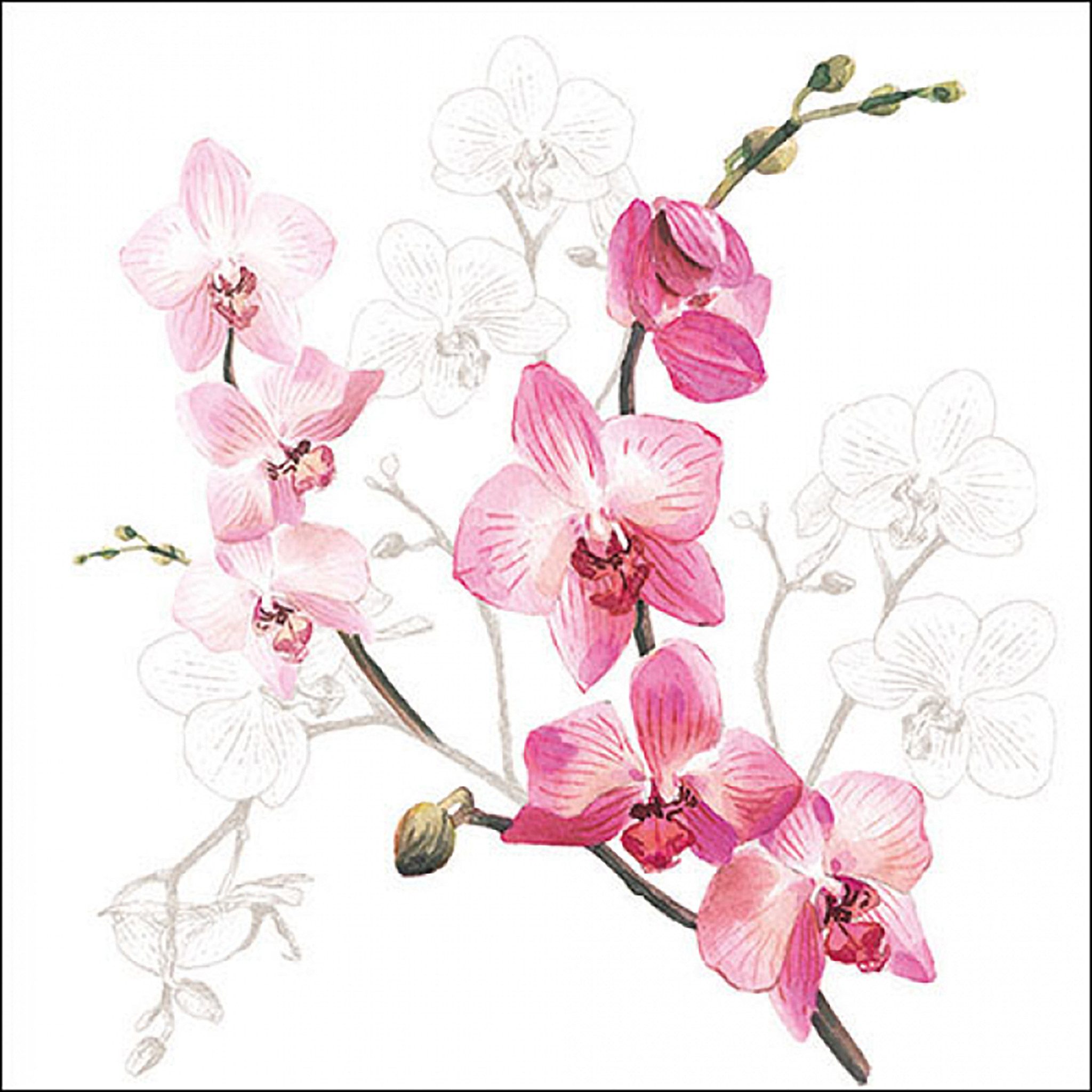 Ambiente Luxury Paper Products Papierserviette, Servietten Papier 33x33cm 3-lagig mit Orchideen Motiv 20 Stück