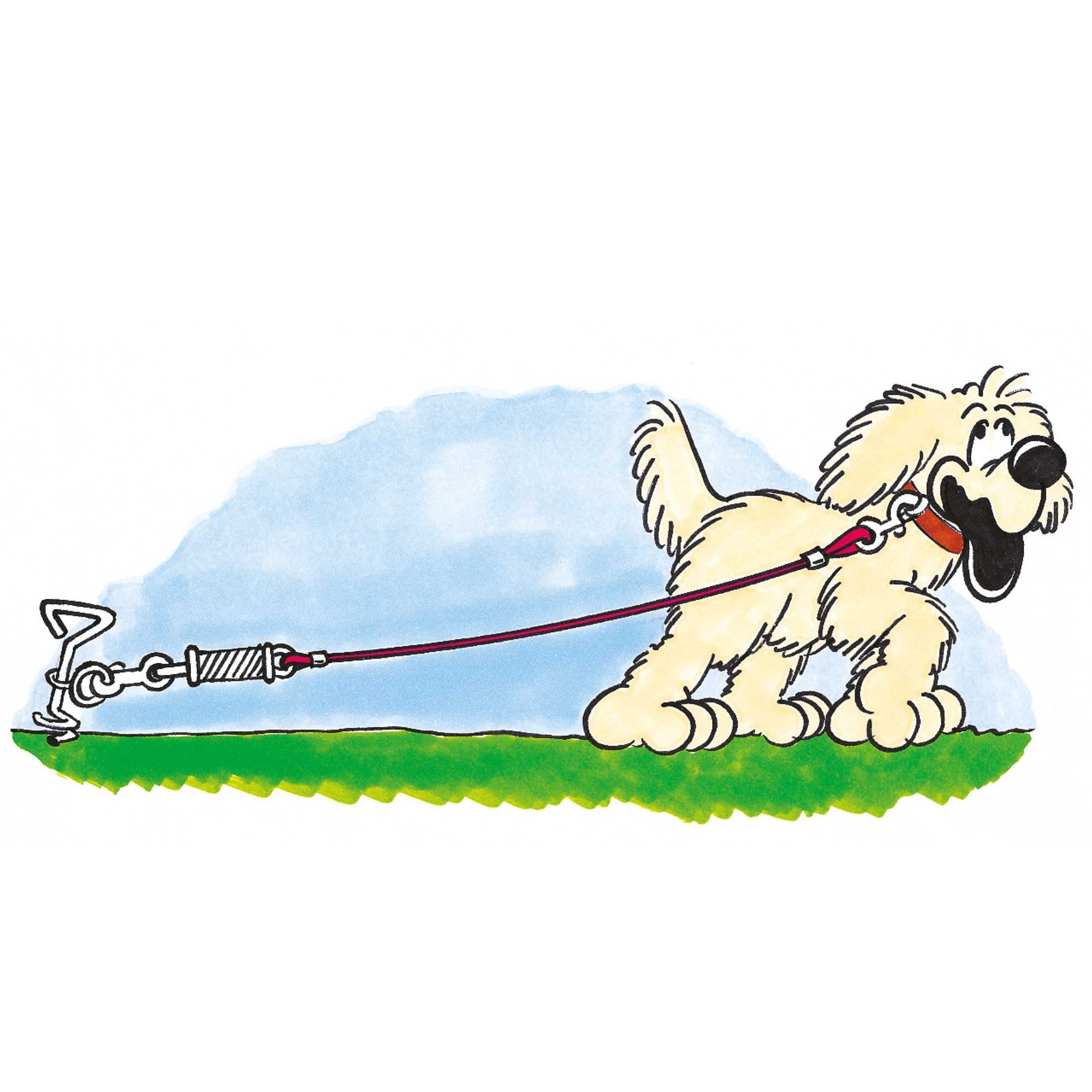 Schecker Hofleine Bully-Auslaufleine 5 m plus Anlegepflock, vinylbeschichteten, beiß- und reißfesten Spezialdraht, (Packung, 2-tlg), spezielle Sicherheitsfederung