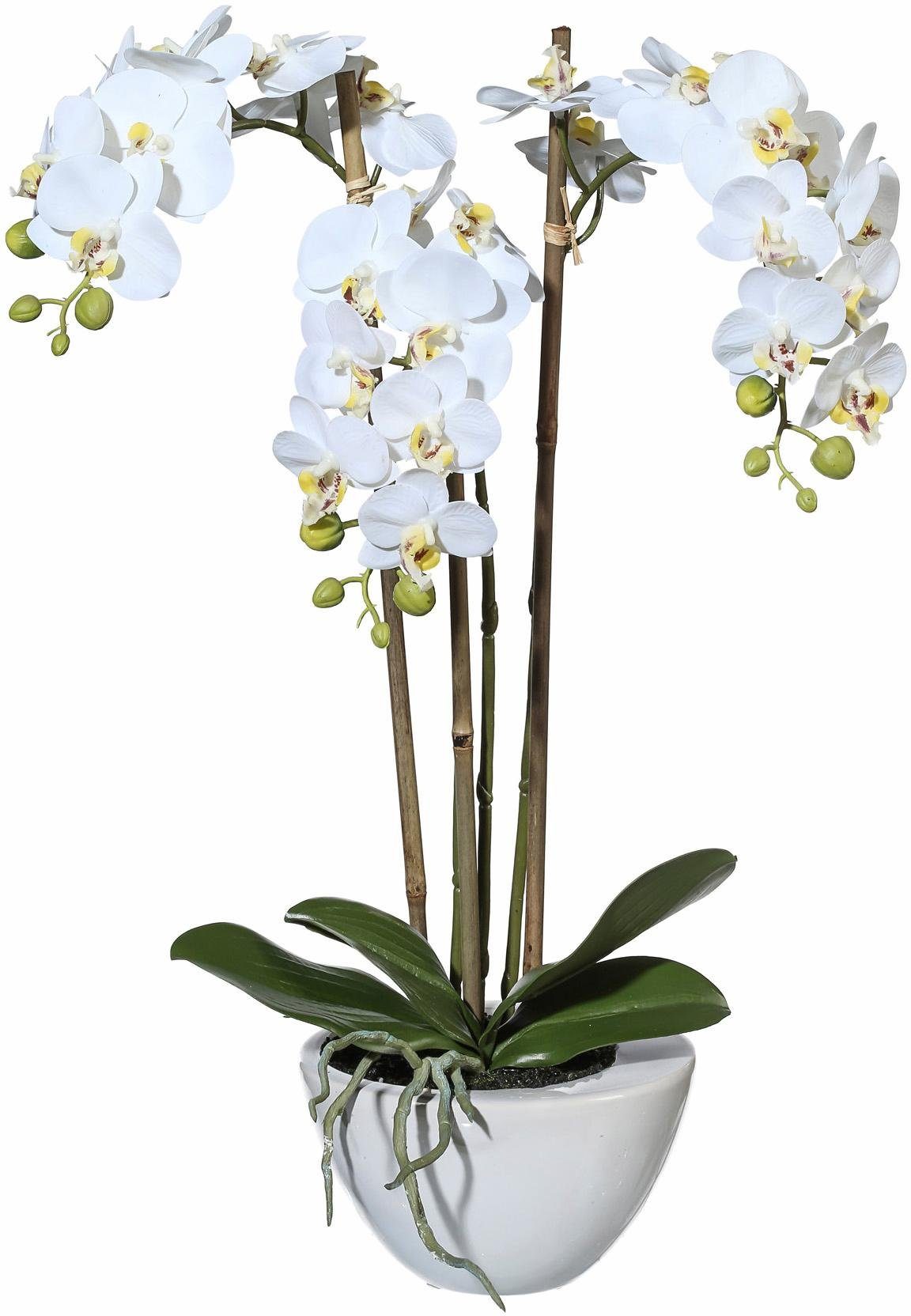 Kunstpflanze Mini Orchidee, Creativ green, Höhe 51 cm