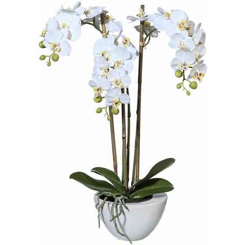 Kunstpflanze Mini Orchidee, Creativ green, Höhe 51 cm