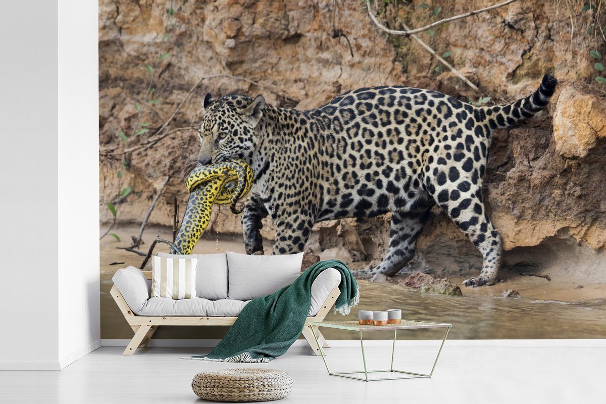 Jaguar Schlafzimmer, für bedruckt, Wallpaper (6 Wasser, Wohnzimmer, Kinderzimmer, Schlange Vinyl St), Fototapete MuchoWow Matt, - Tapete -