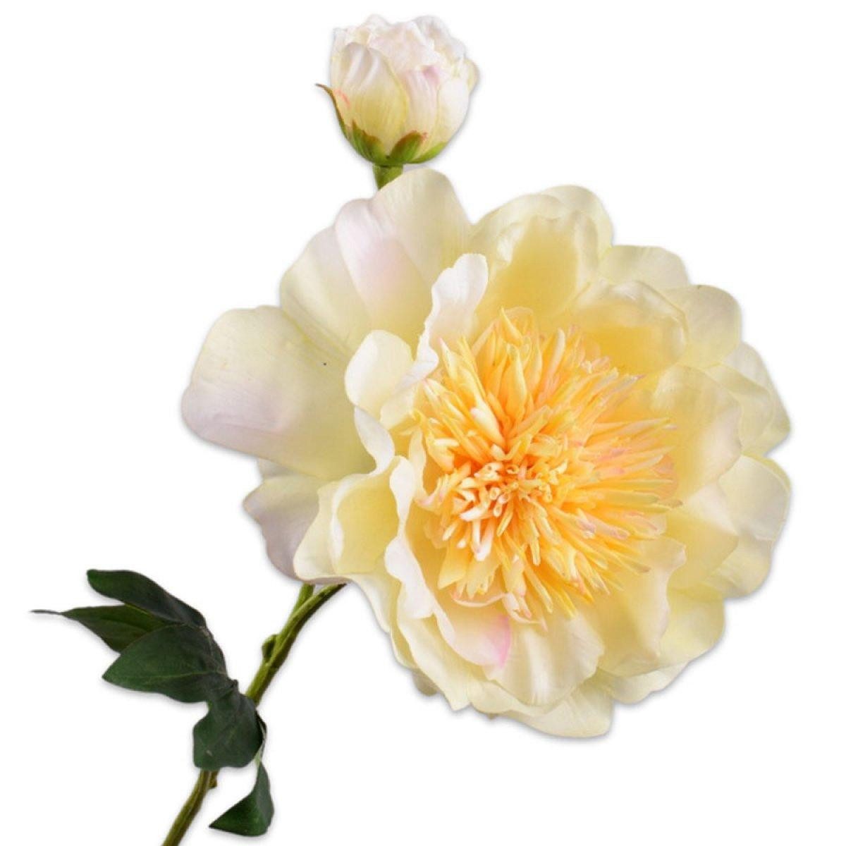 Künstliche Zimmerpflanze Seidenblume Pfingstrose Zweig Creme (79cm), SILK-KA