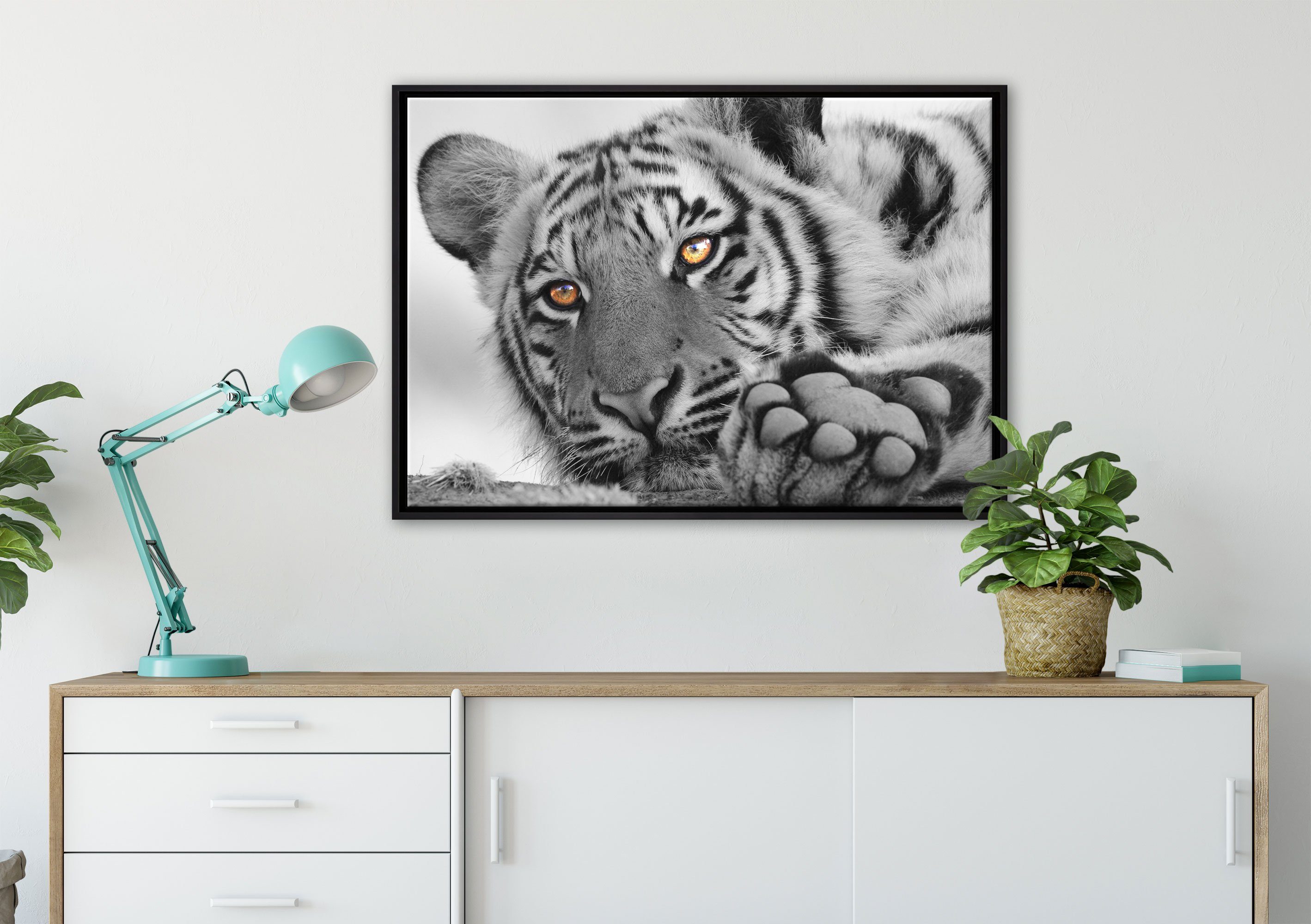 Pixxprint Leinwandbild entspannter Tiger, inkl. einem Schattenfugen-Bilderrahmen bespannt, Zackenaufhänger gefasst, Leinwandbild (1 Wanddekoration St), fertig in