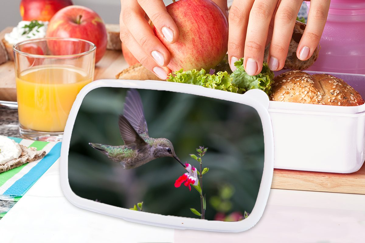 MuchoWow Lunchbox Kolibri - Blume Kunststoff, für Kinder Brotdose, Mädchen für Rot, Brotbox und - und weiß Jungs Erwachsene, (2-tlg)