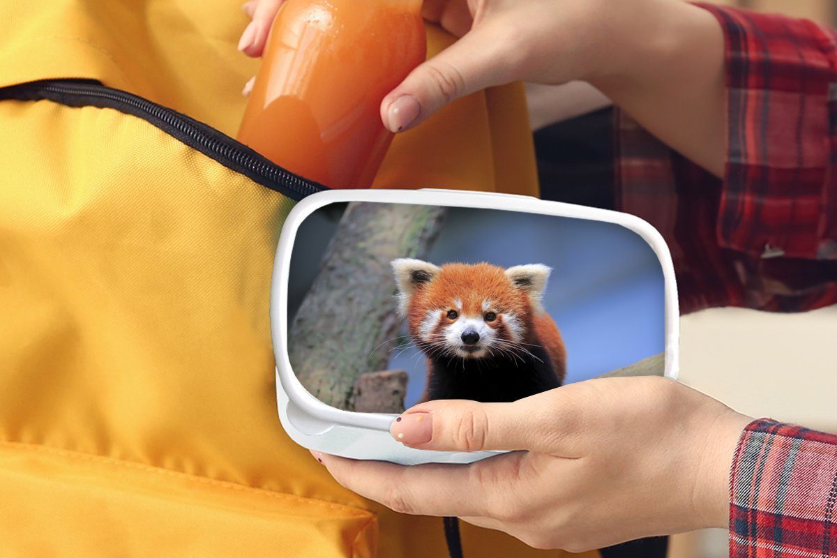 Baum, für - für und Jungs MuchoWow und weiß Brotdose, Mädchen Panda Erwachsene, Lunchbox (2-tlg), - Brotbox Kinder Orange Roter Kunststoff,